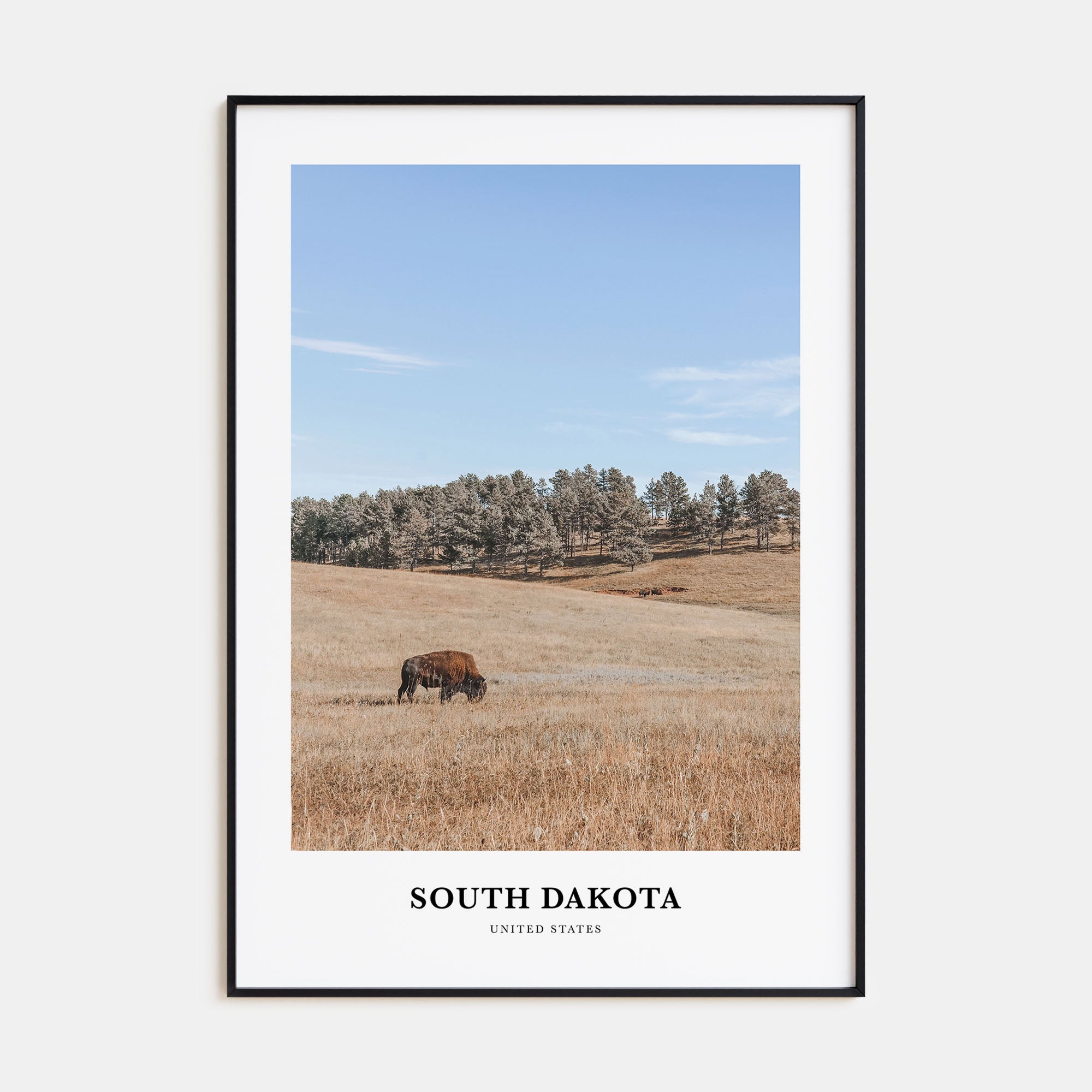 South Dakota Portrait Color Poster