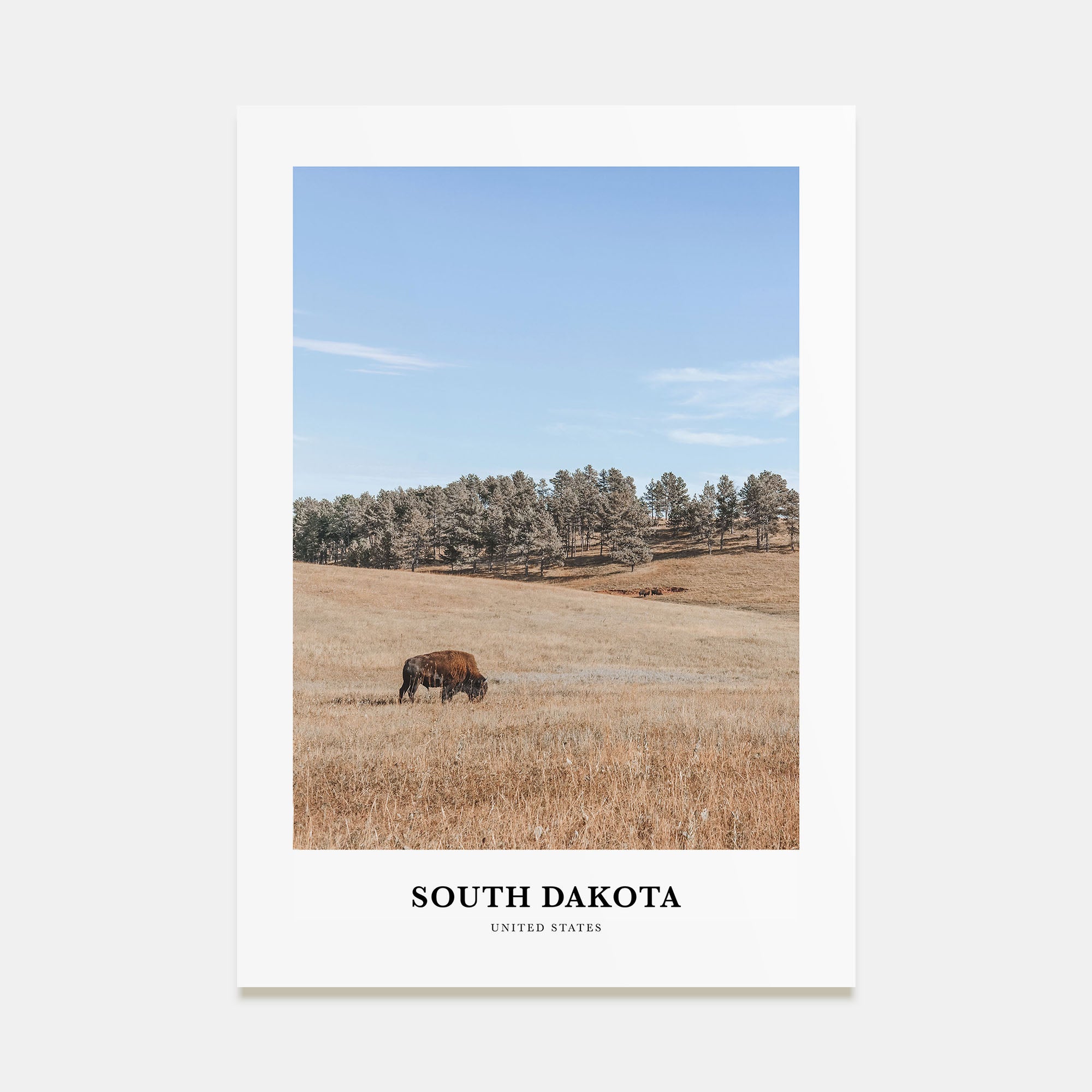 South Dakota Portrait Color Poster