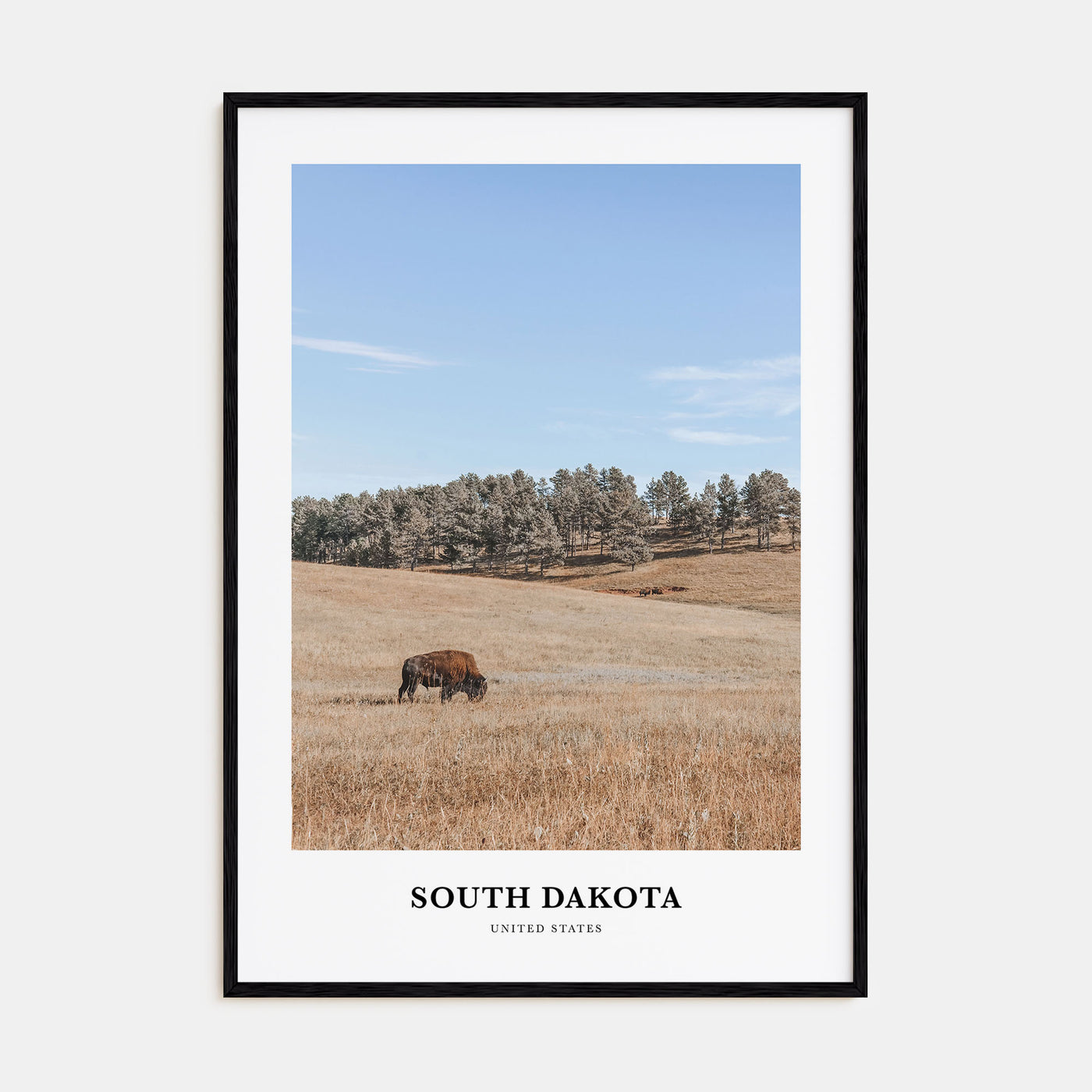 South Dakota Portrait Color Poster