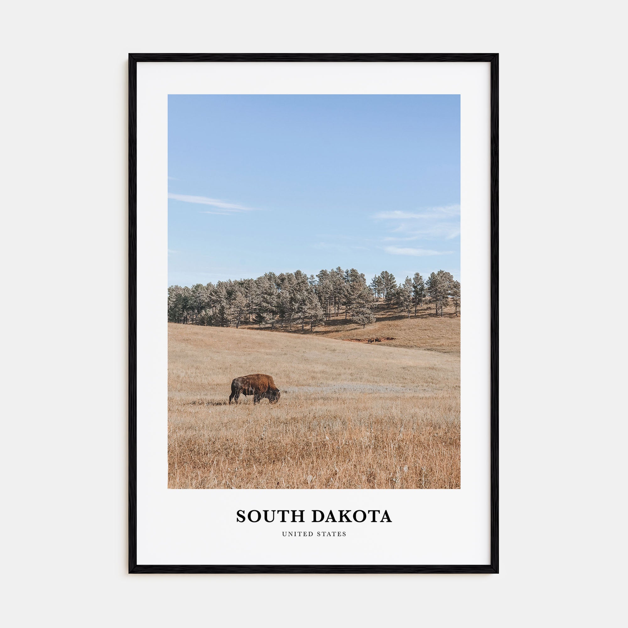 South Dakota Portrait Color Poster