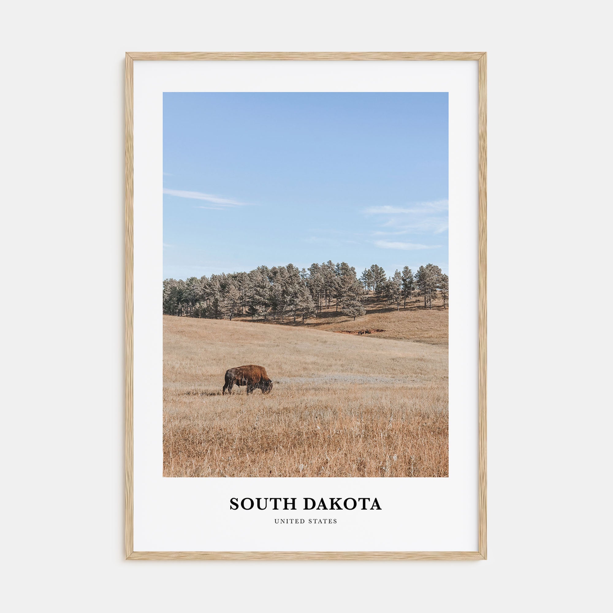 South Dakota Portrait Color Poster