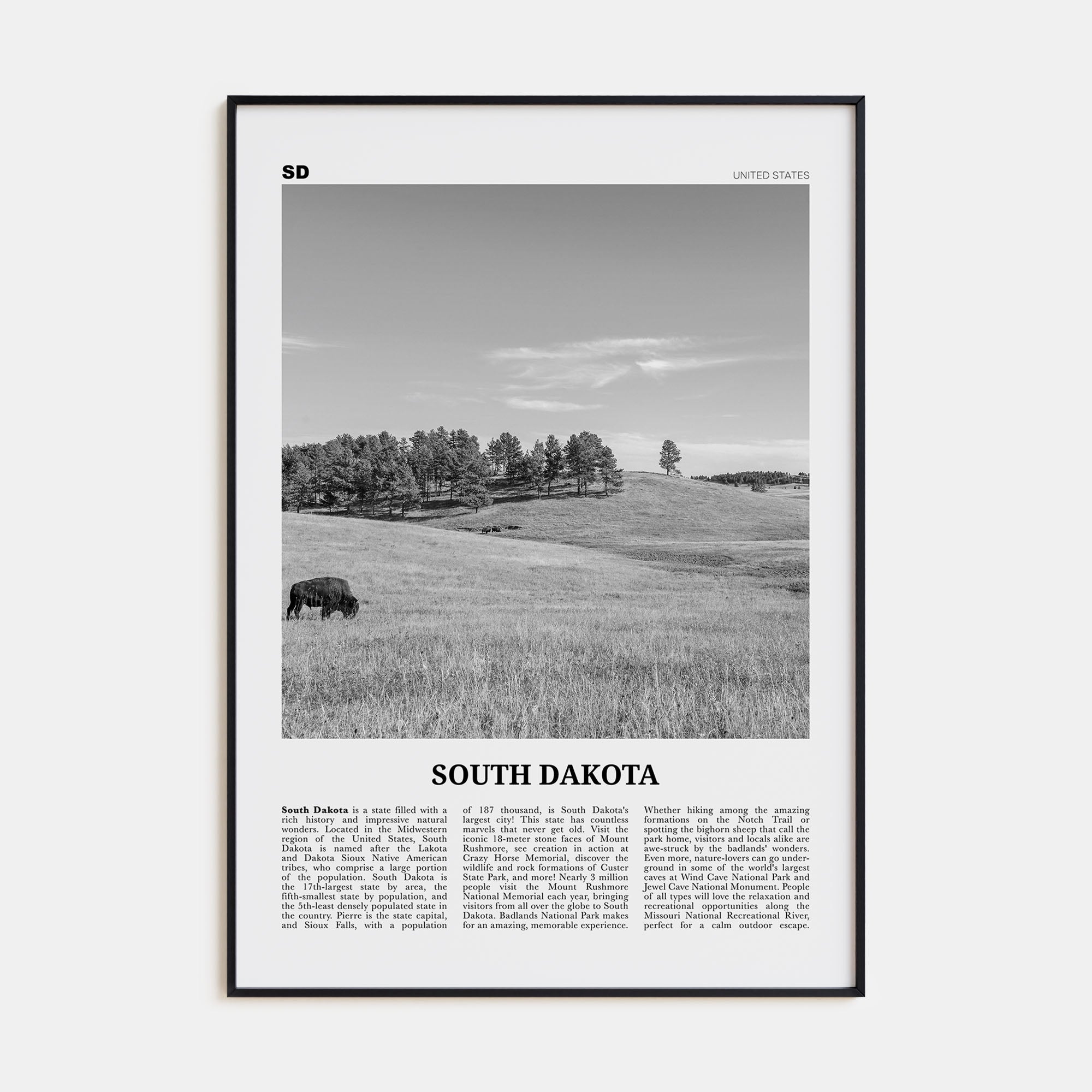 South Dakota Travel B&W No 1 Poster