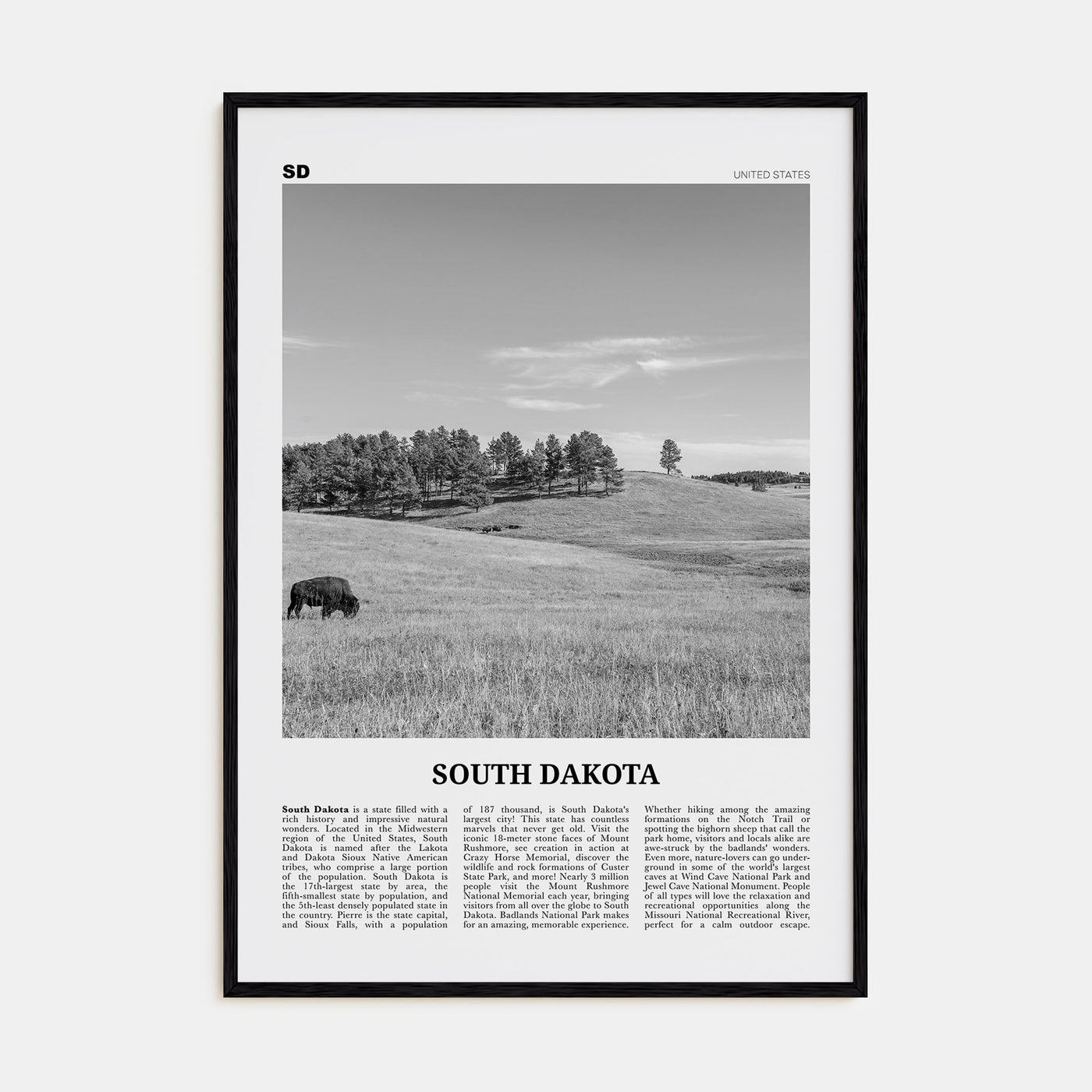 South Dakota Travel B&W No 1 Poster