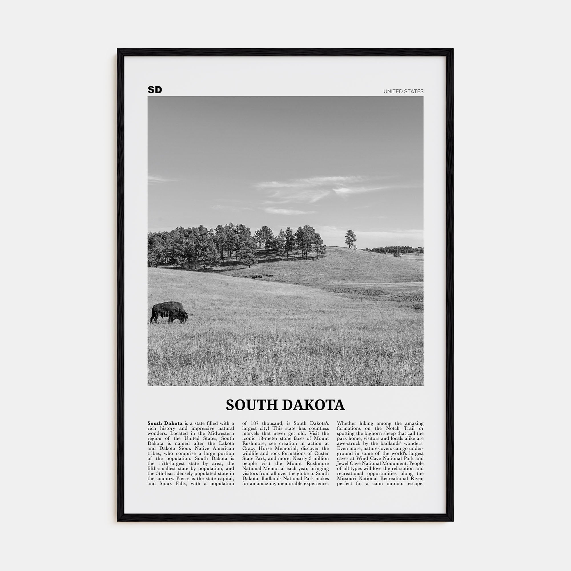 South Dakota Travel B&W No 1 Poster