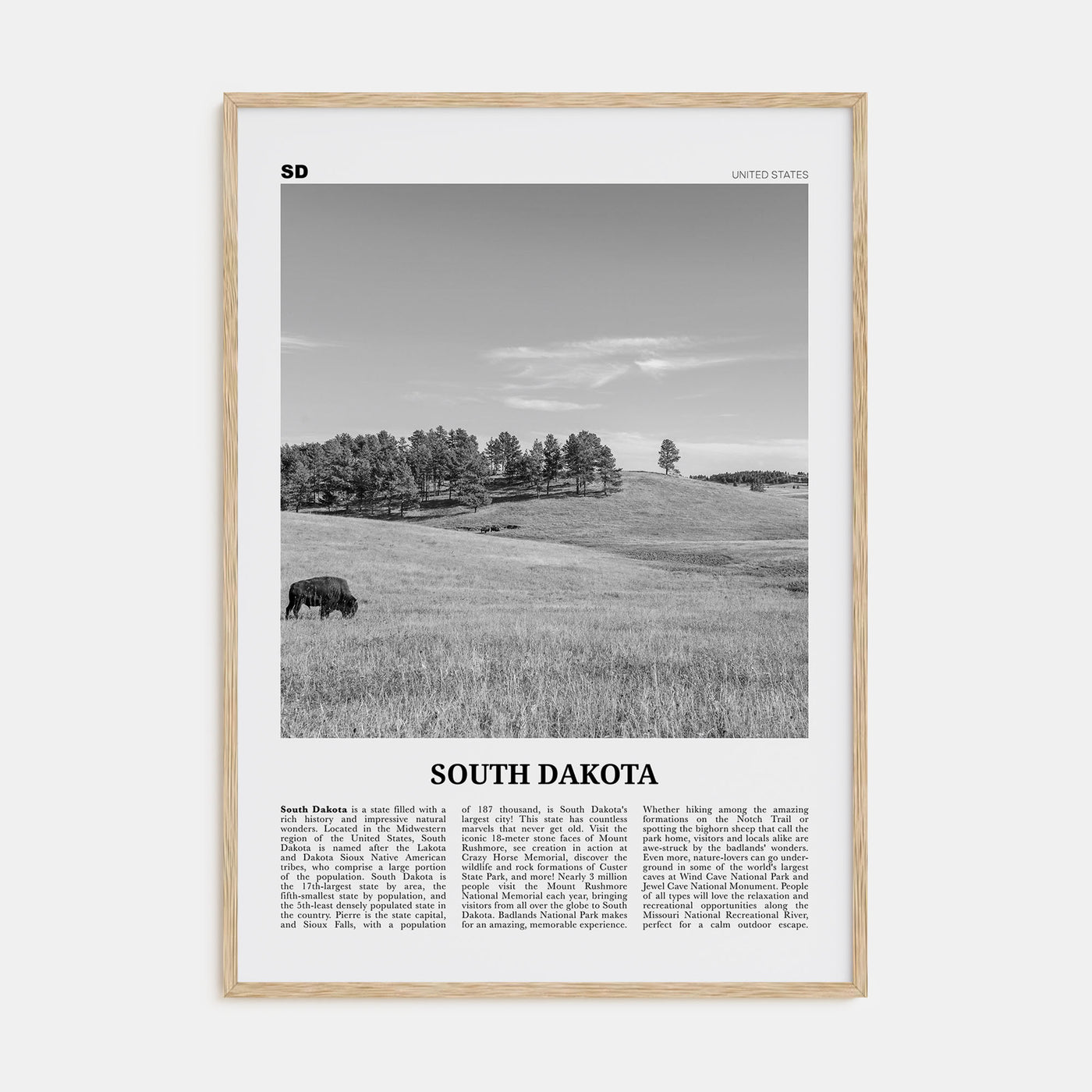 South Dakota Travel B&W No 1 Poster