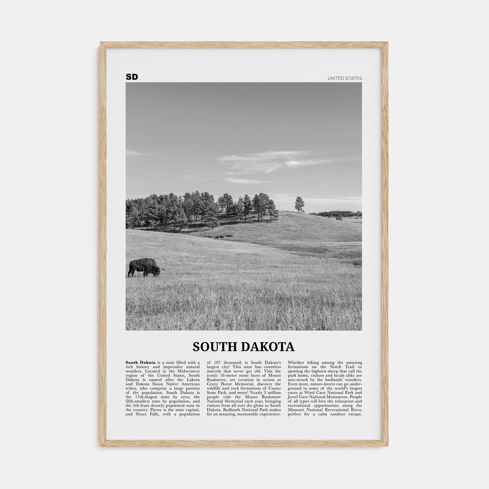 South Dakota Travel B&W No 1 Poster