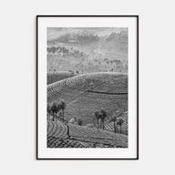 Sri Lanka Photo B&W Poster