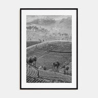 Sri Lanka Photo B&W Poster