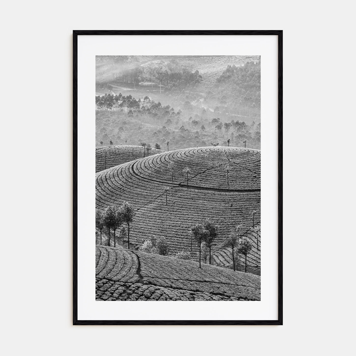 Sri Lanka Photo B&W Poster