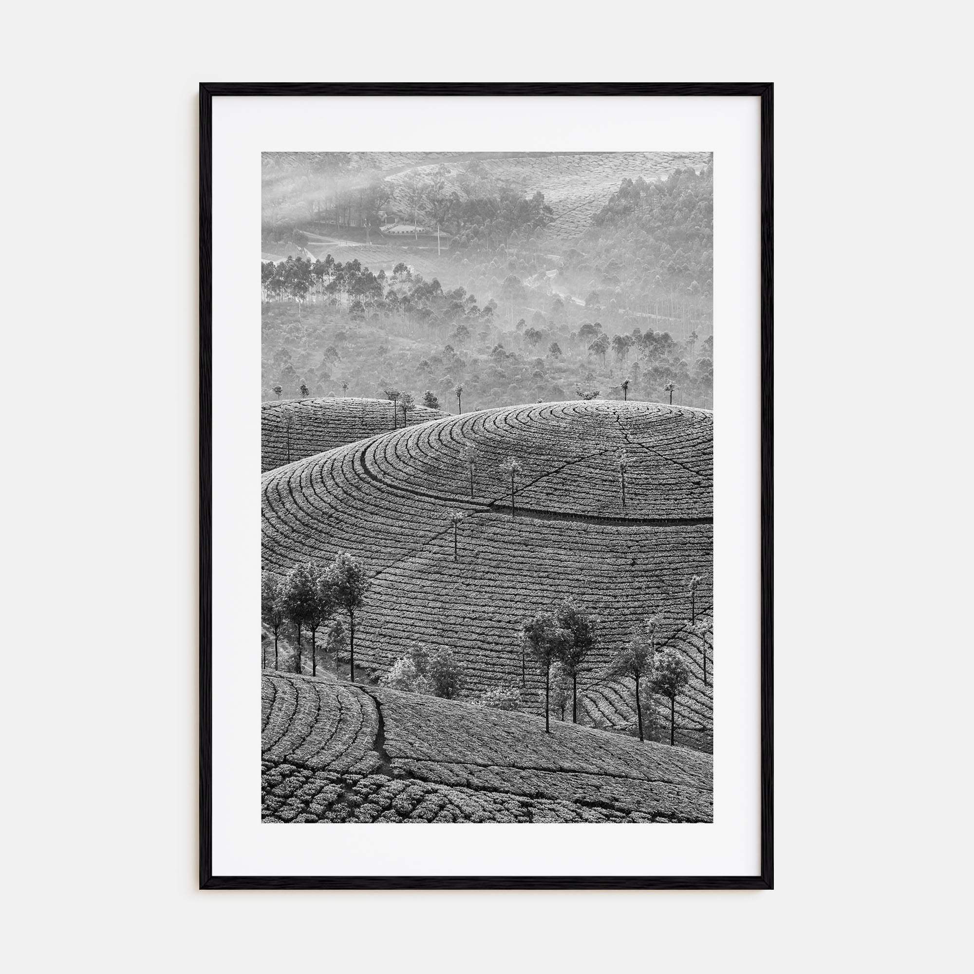Sri Lanka Photo B&W Poster
