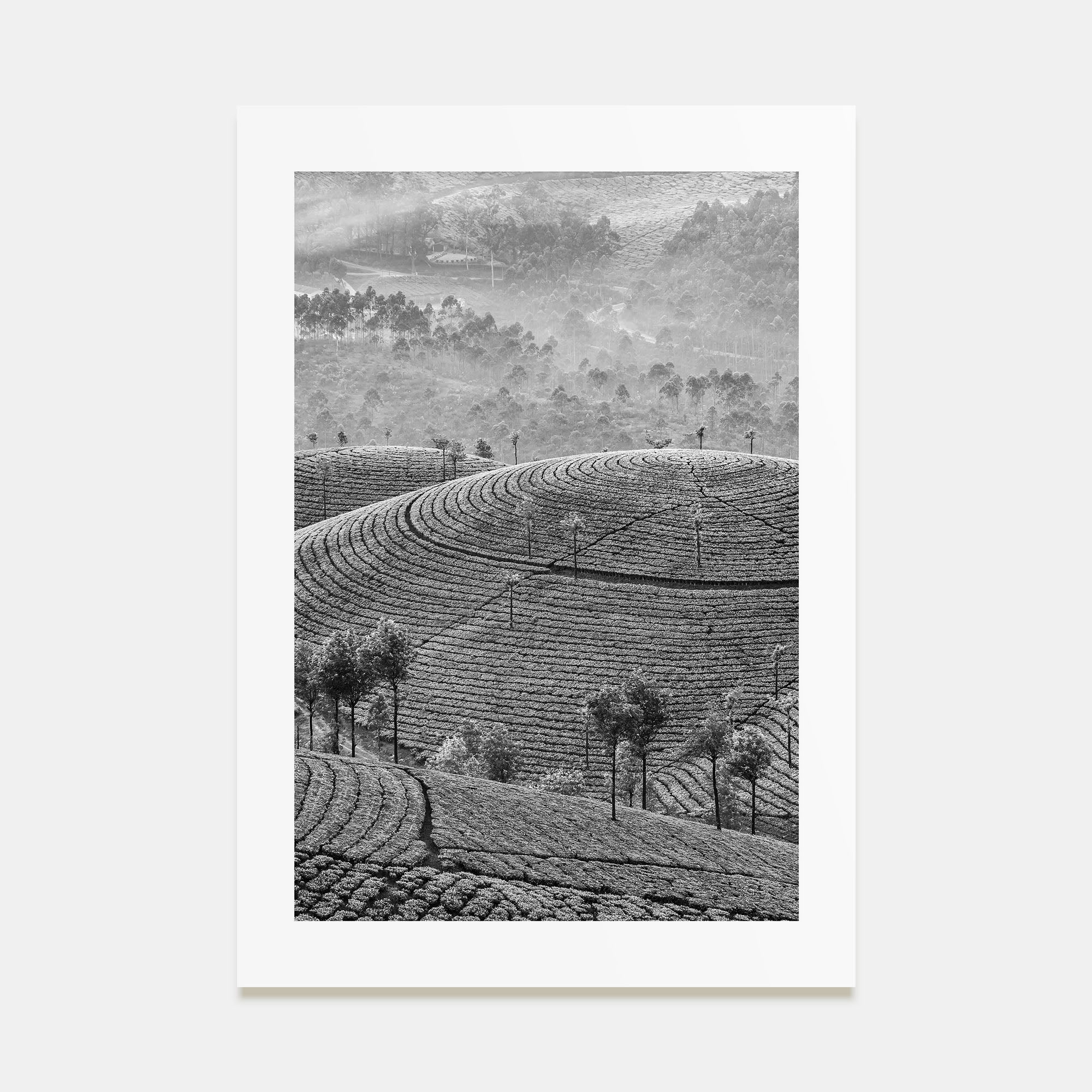 Sri Lanka Photo B&W Poster