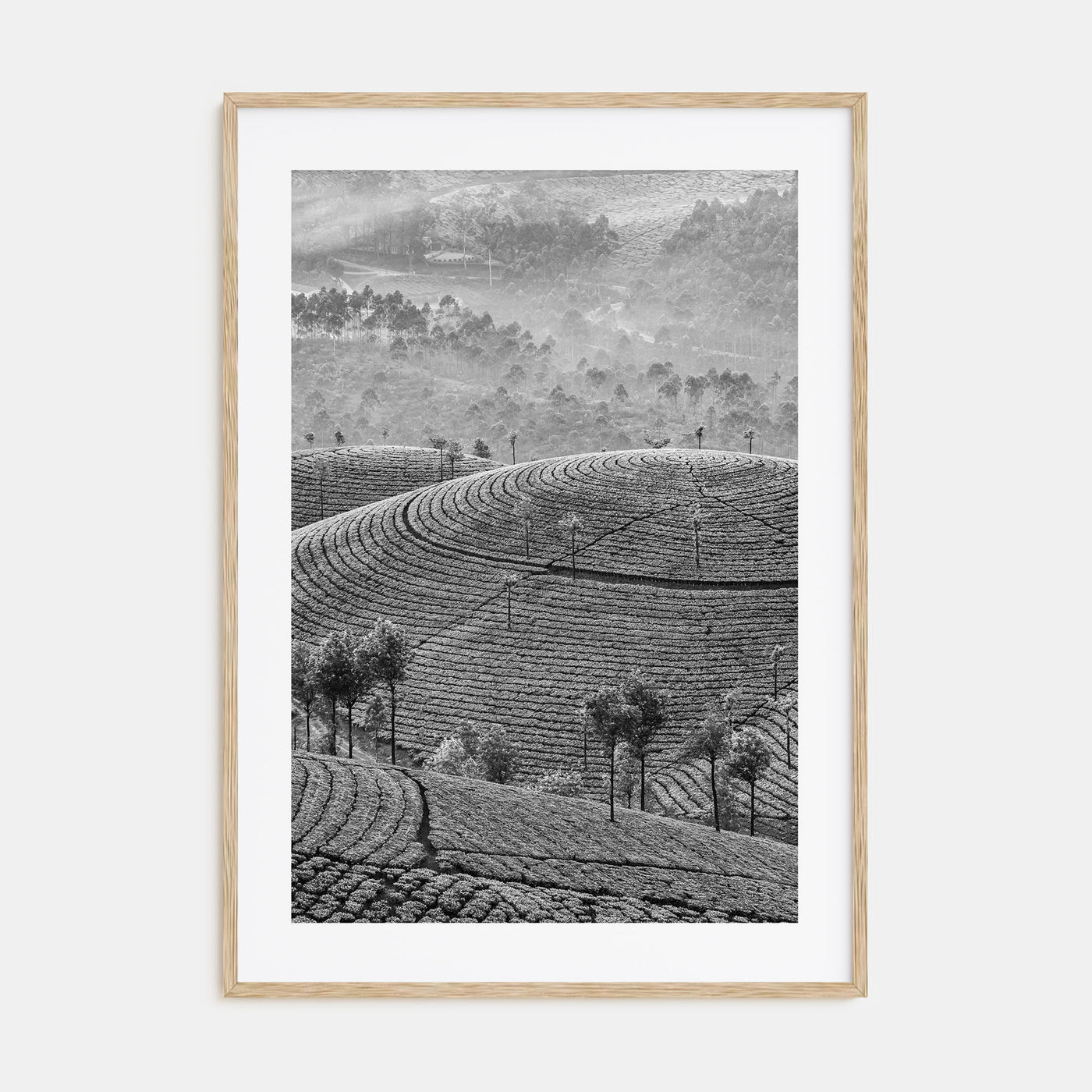 Sri Lanka Photo B&W Poster