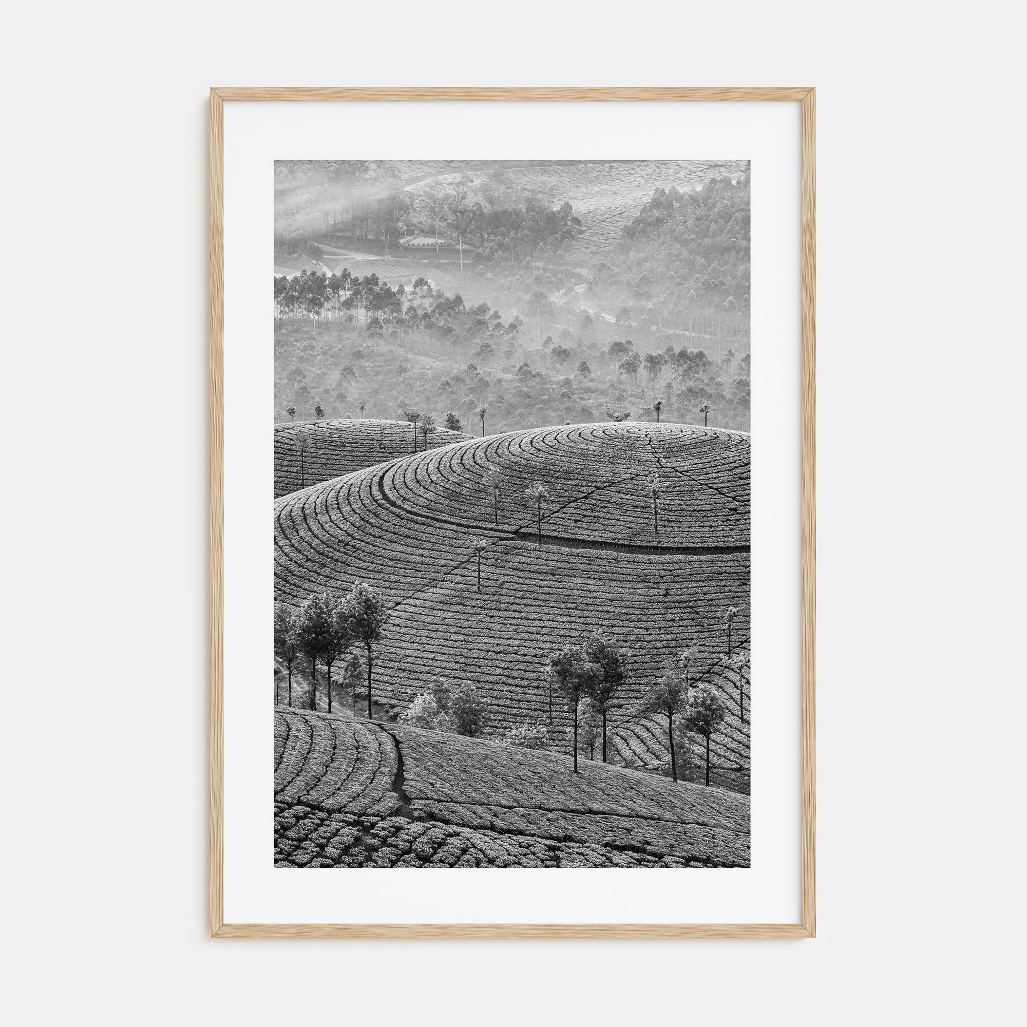 Sri Lanka Photo B&W Poster