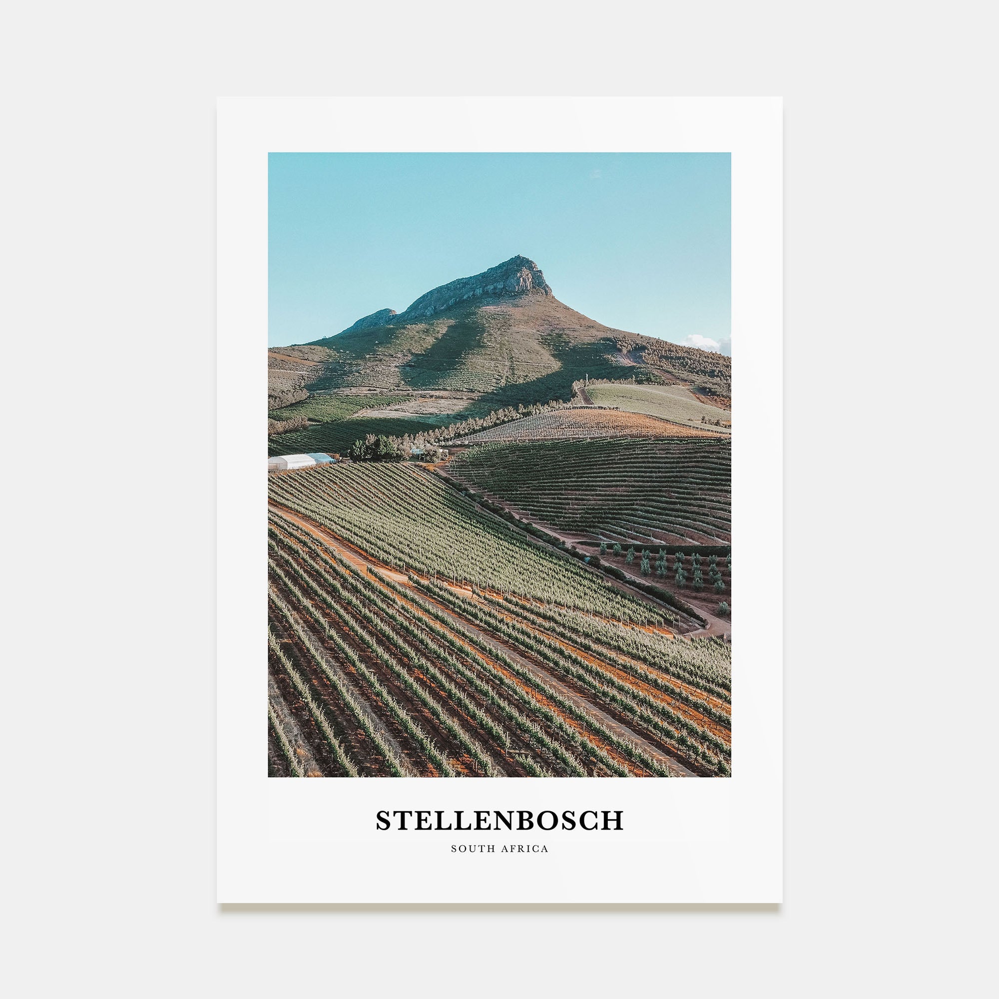 Stellenbosch Portrait Color Poster