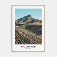 Stellenbosch Portrait Color Poster