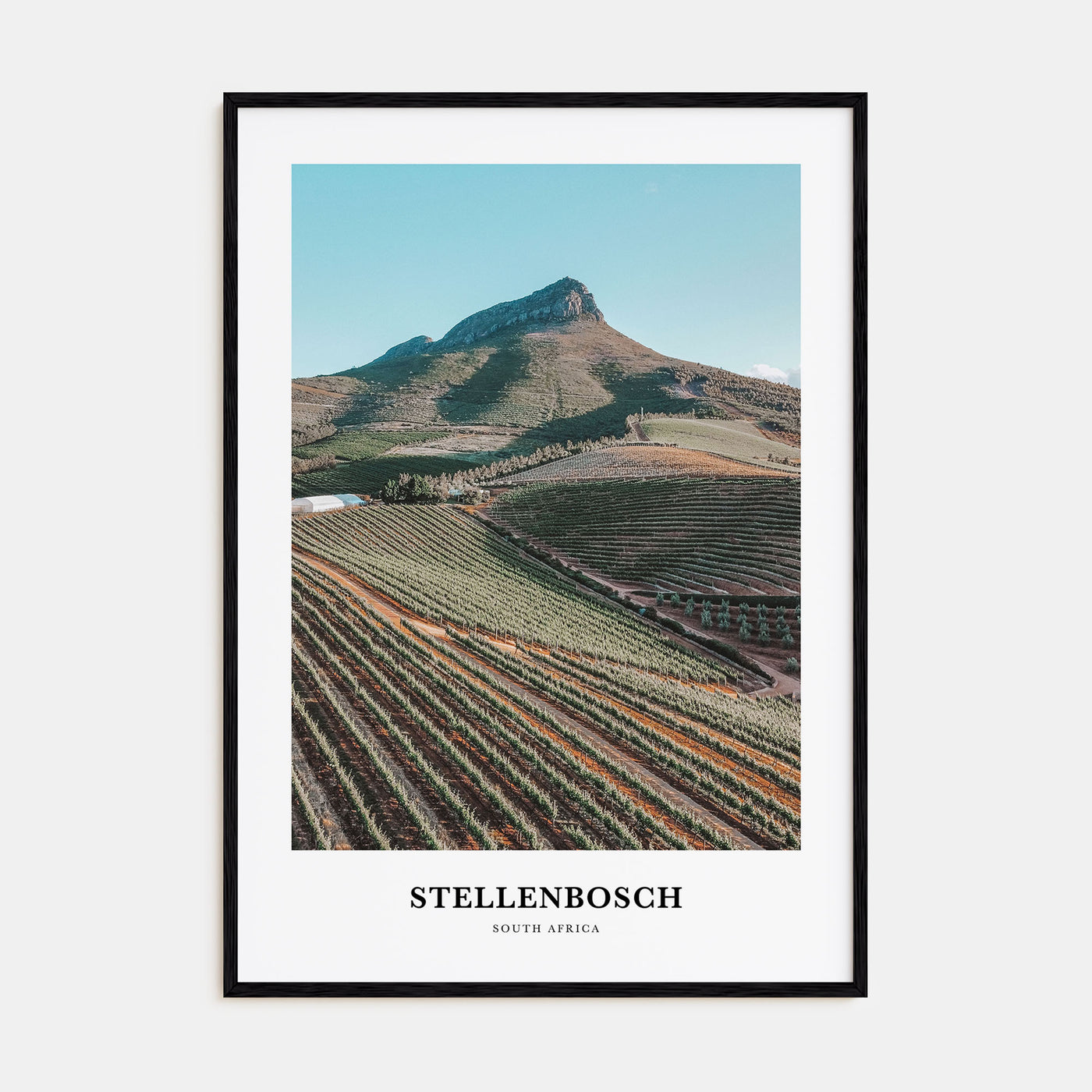 Stellenbosch Portrait Color Poster