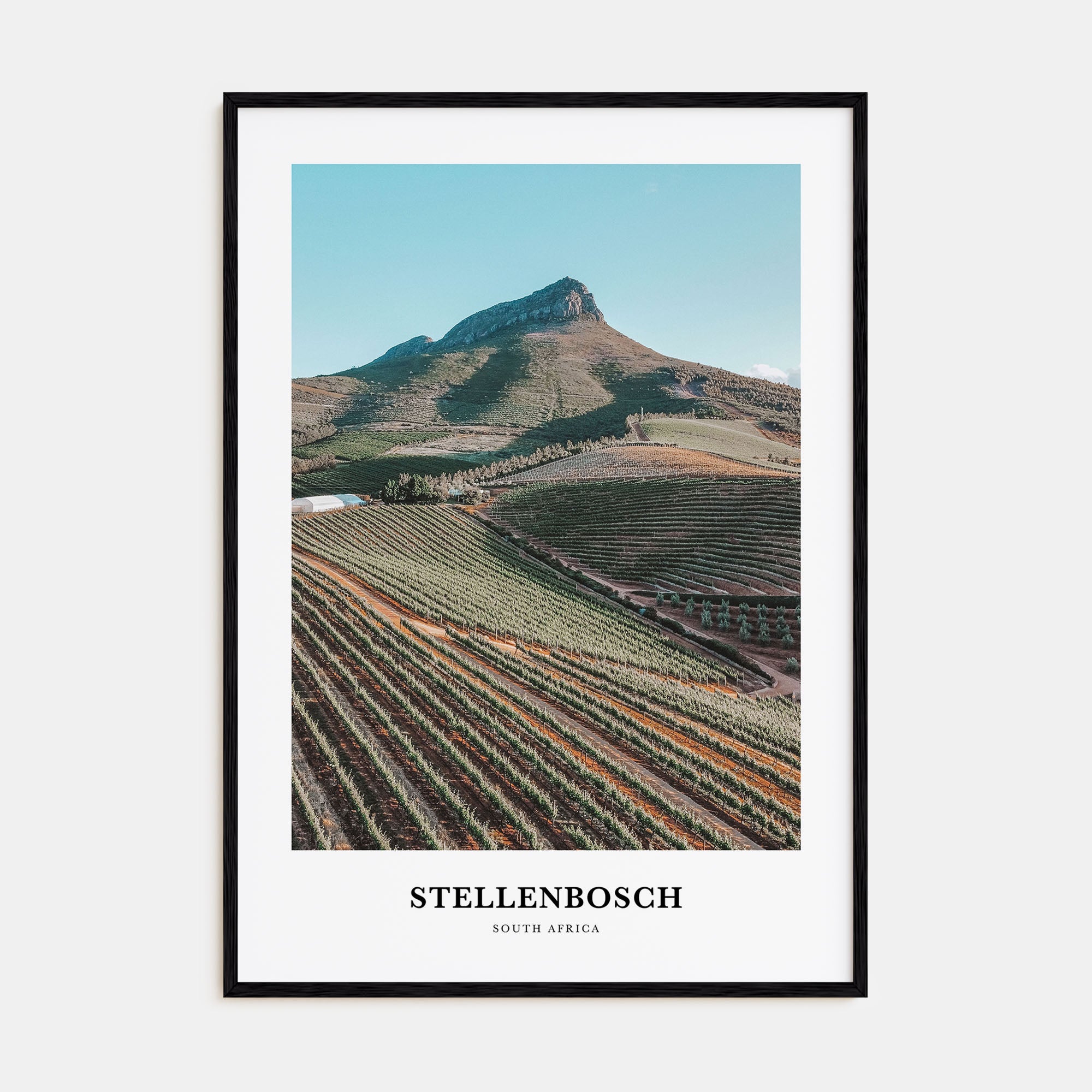 Stellenbosch Portrait Color Poster