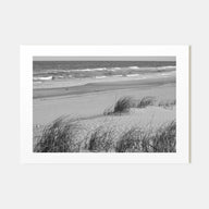 Stone Harbor Landscape B&W Poster