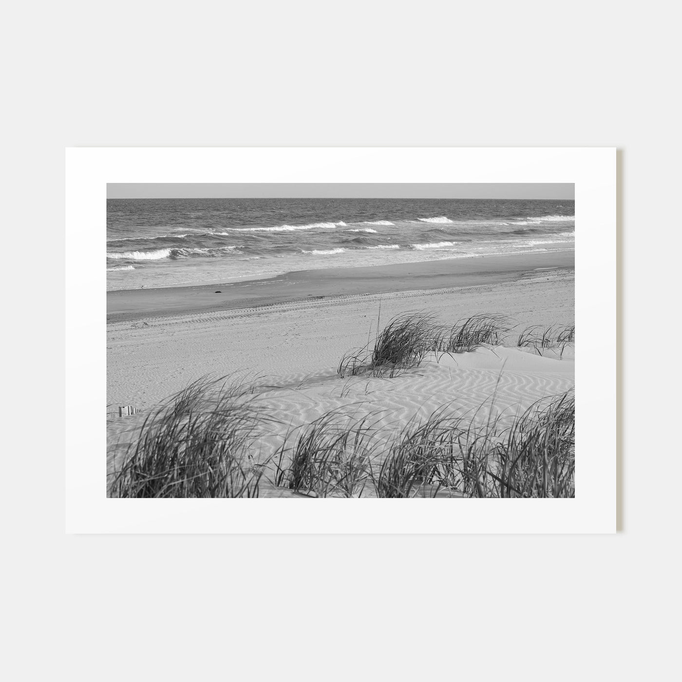 Stone Harbor Landscape B&W Poster