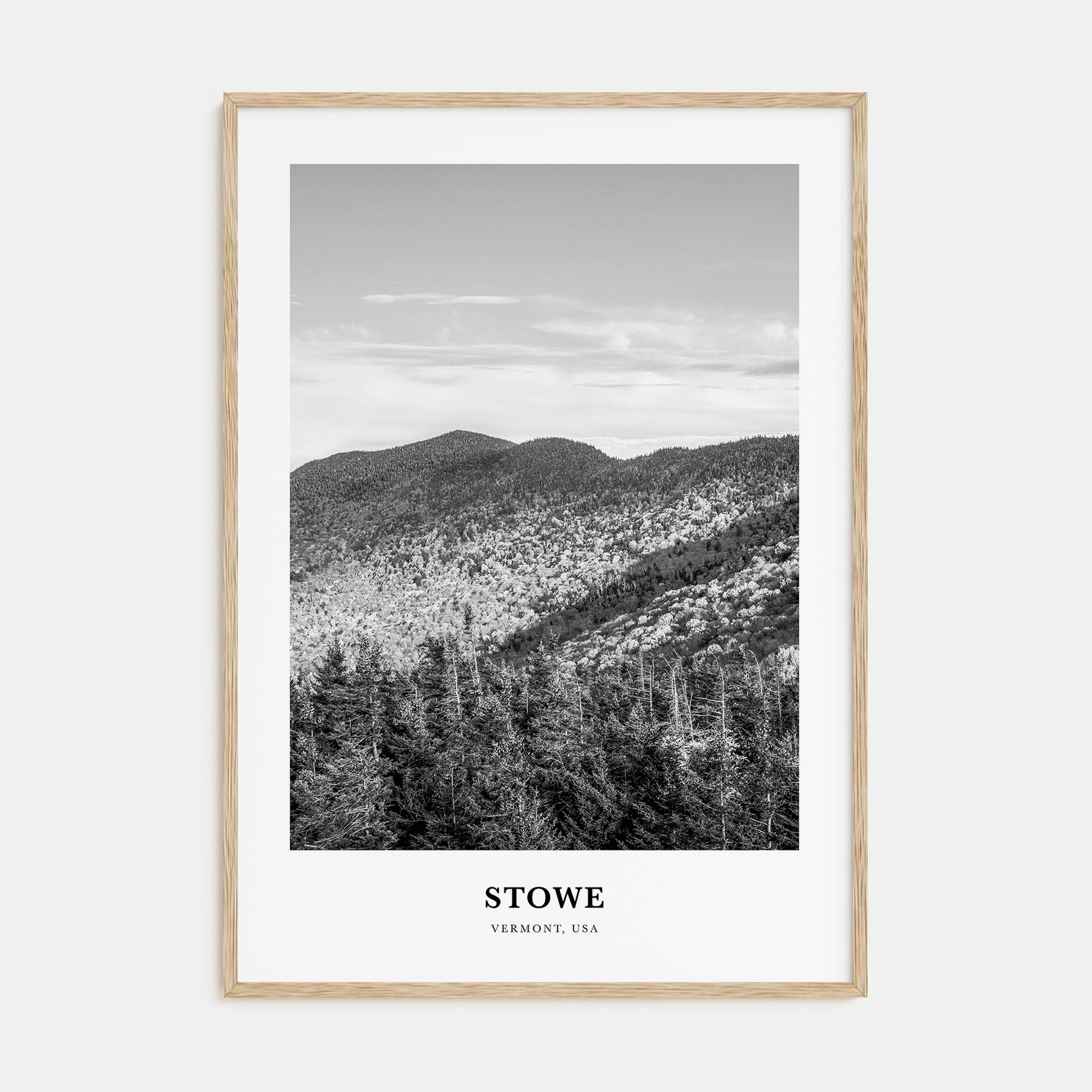 Stowe Portrait B&W Poster
