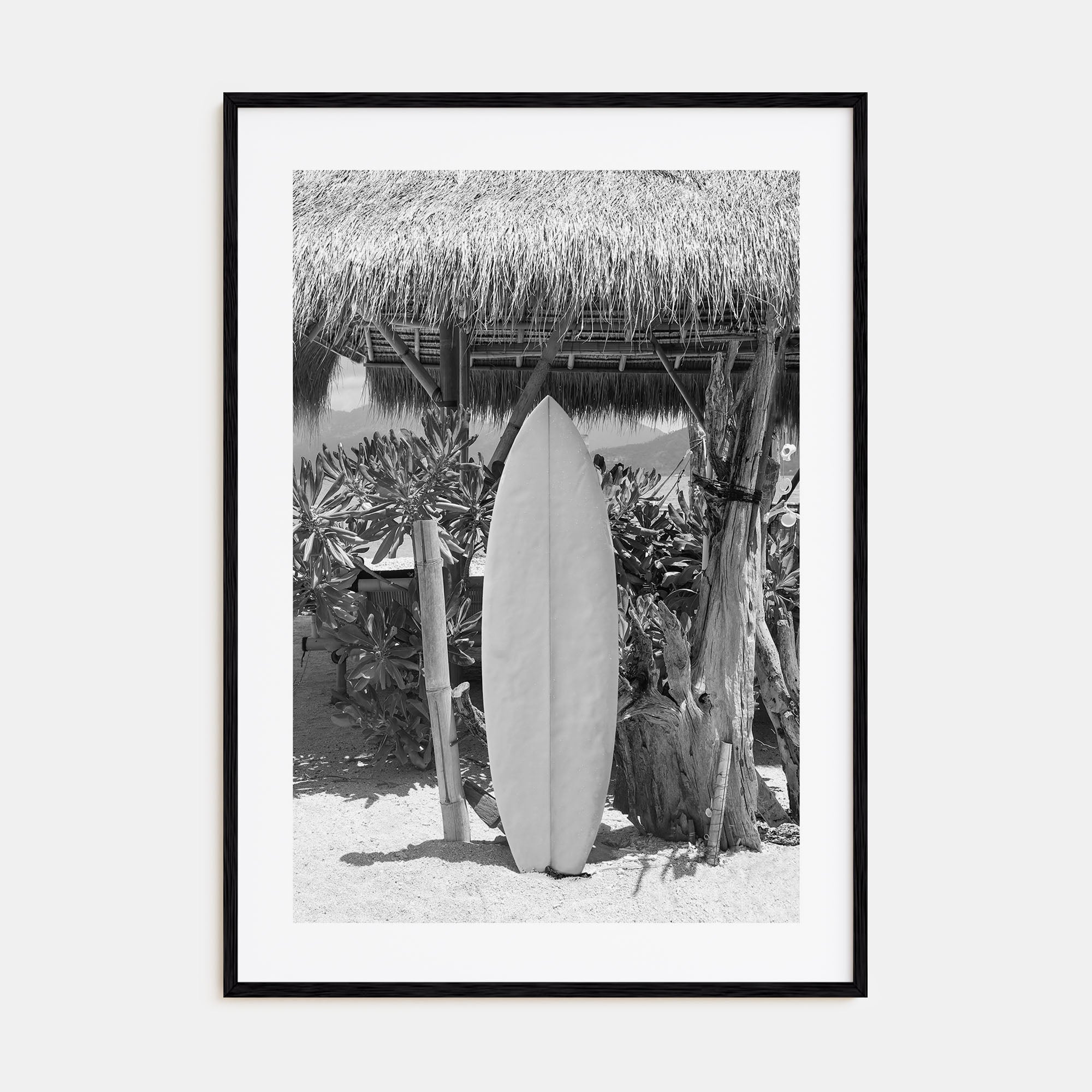 Surfboard Photo B&W No 1 Poster