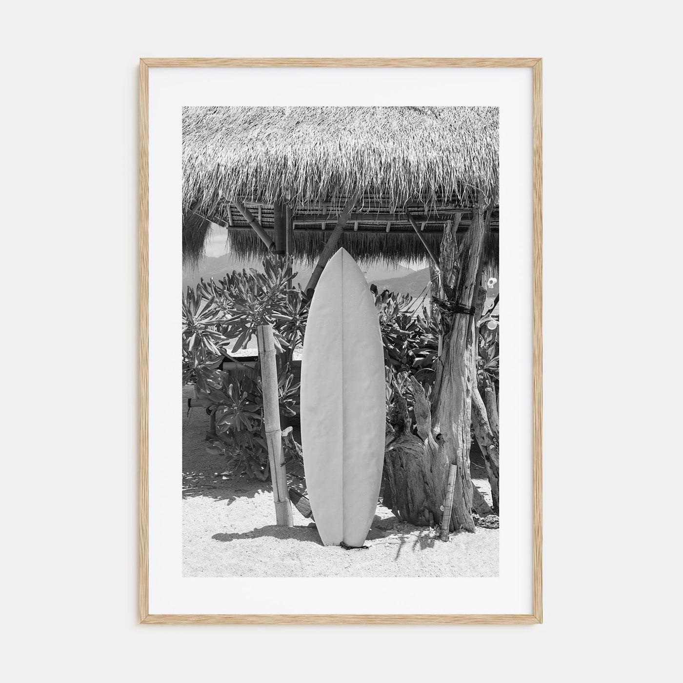 Surfboard Photo B&W No 1 Poster