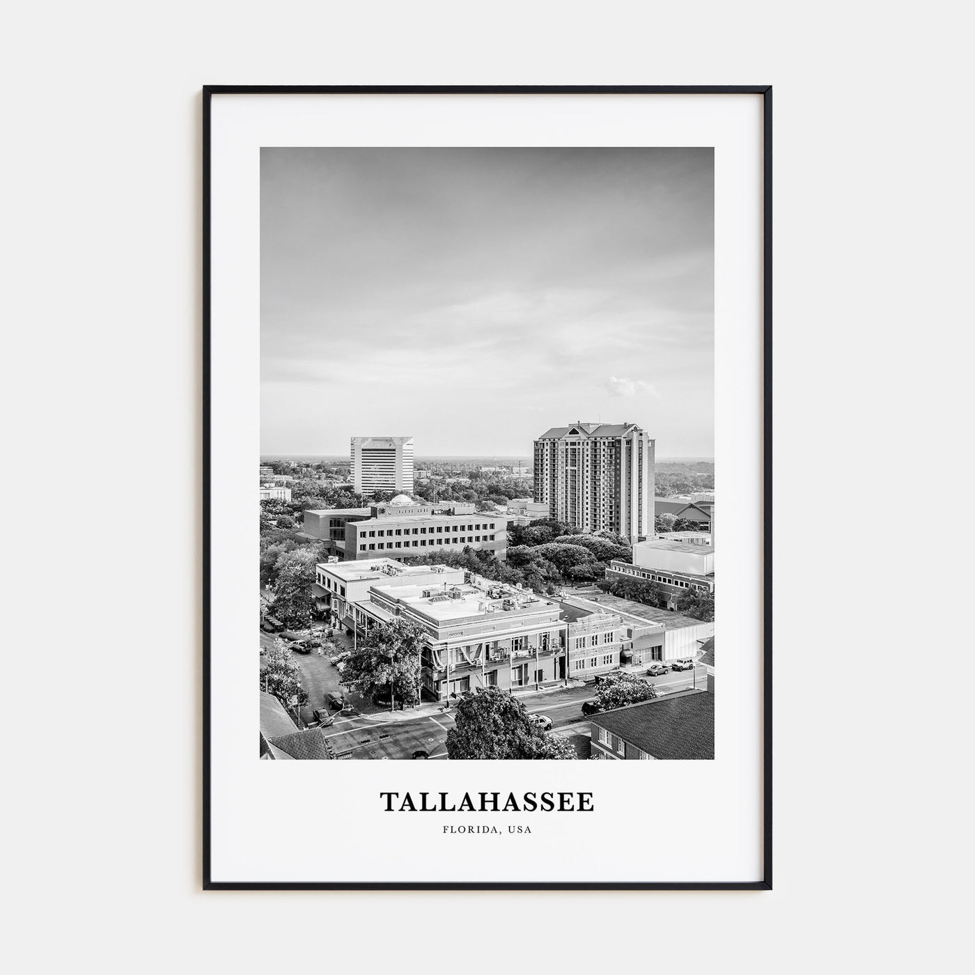 Tallahassee Portrait B&W Poster