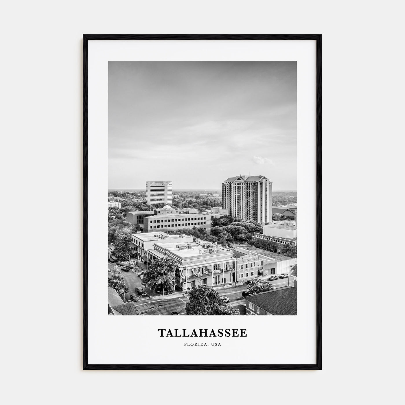 Tallahassee Portrait B&W Poster