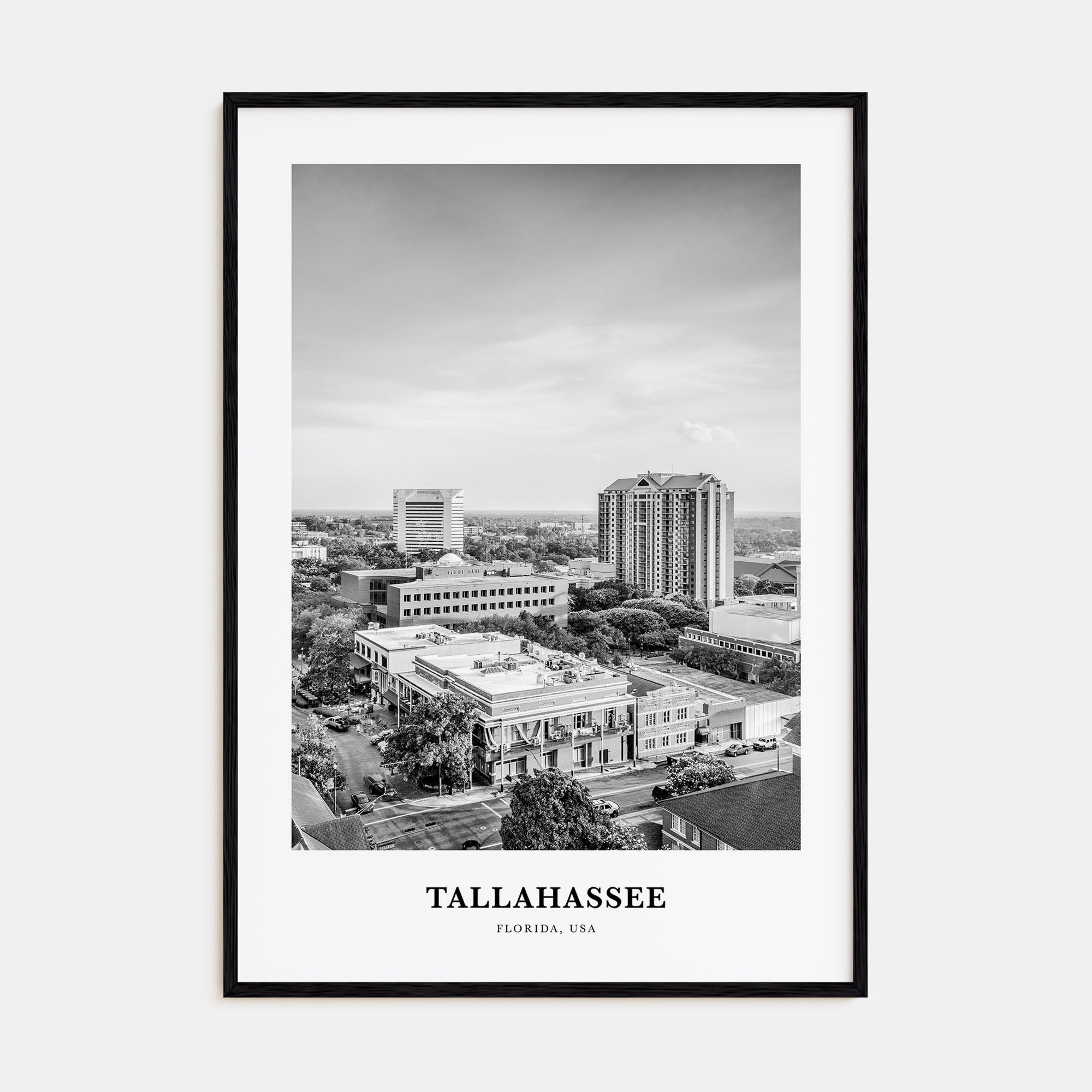 Tallahassee Portrait B&W Poster