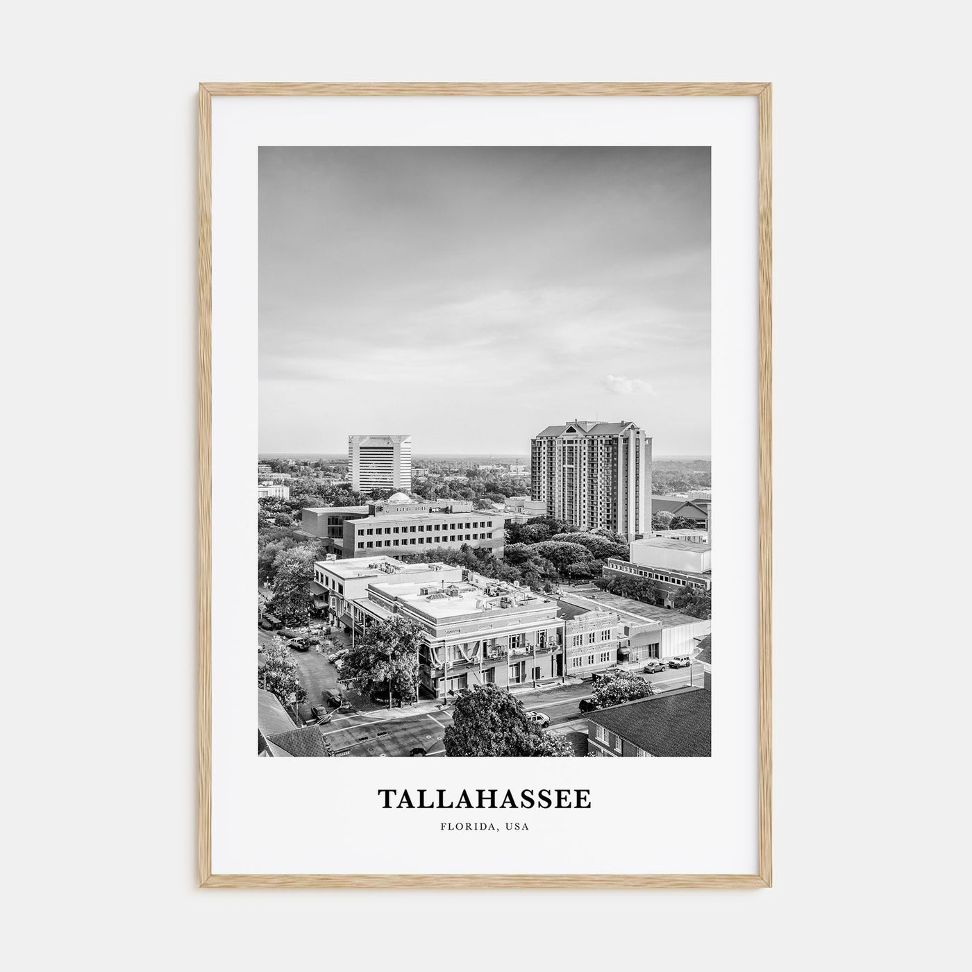 Tallahassee Portrait B&W Poster