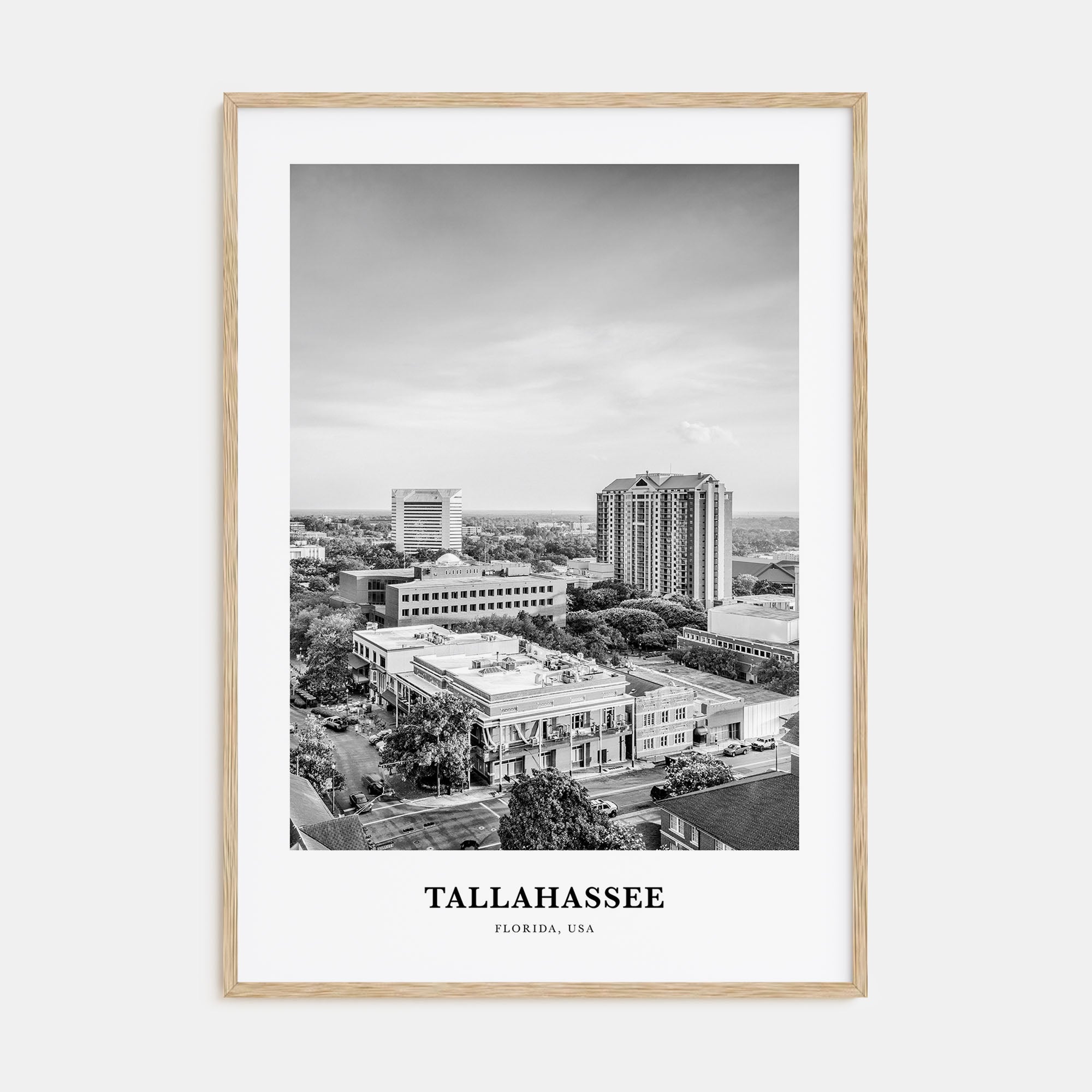 Tallahassee Portrait B&W Poster