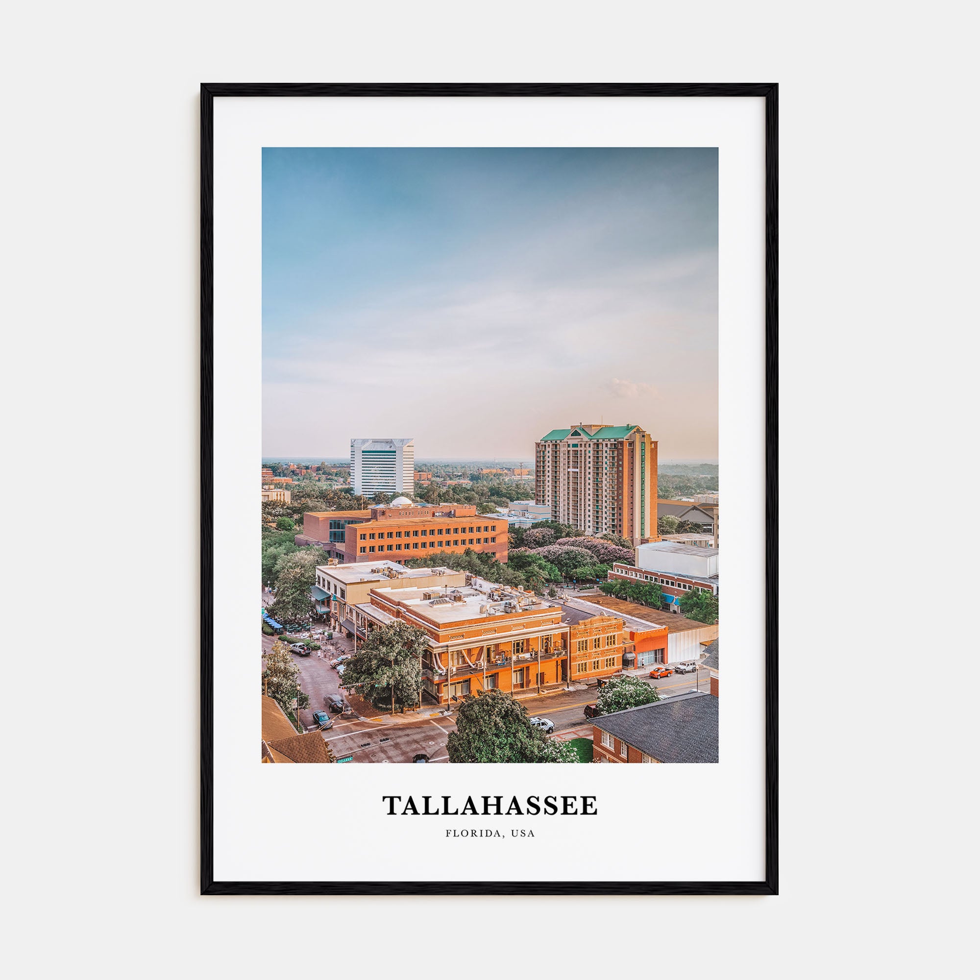 Tallahassee Portrait Color Poster