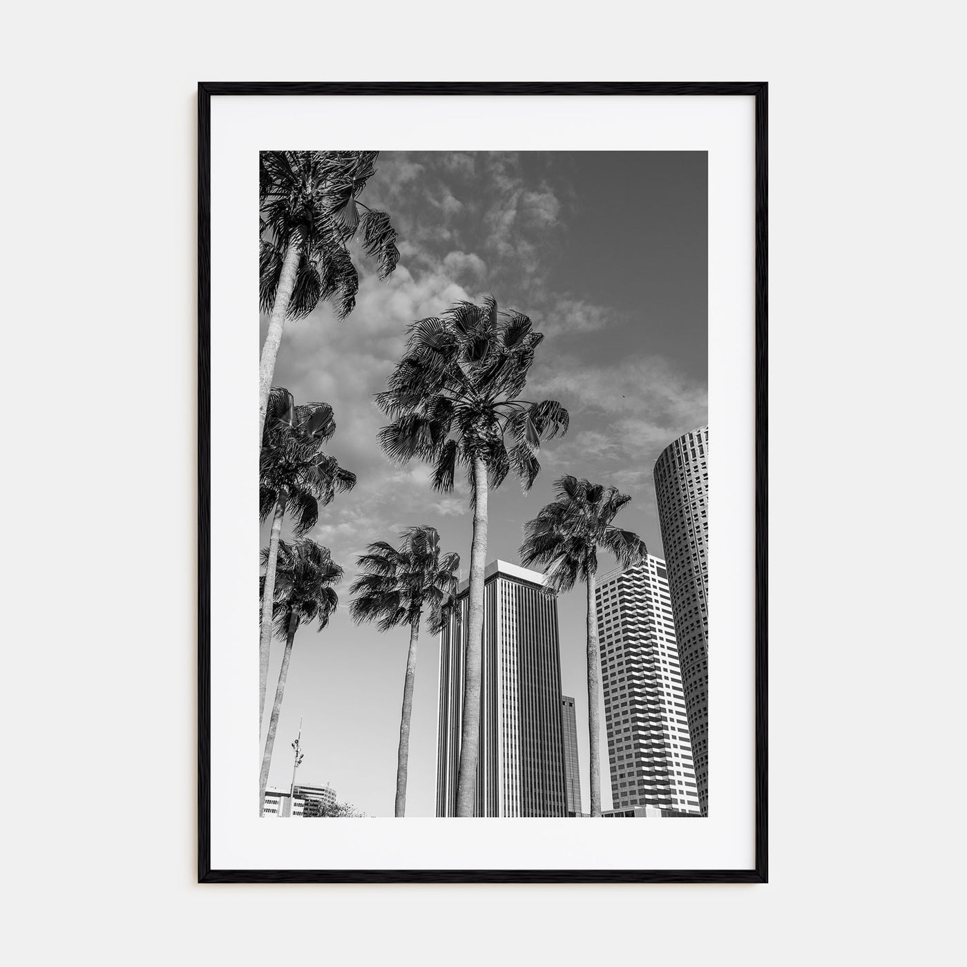 Tampa Photo B&W No 3 Poster