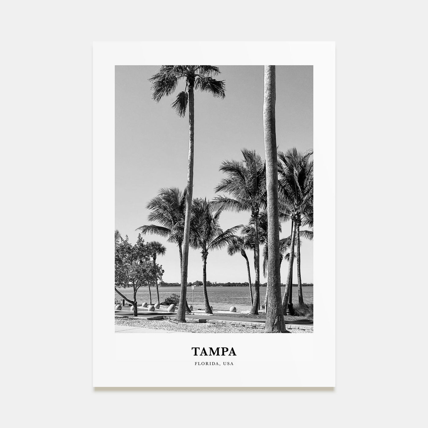 Tampa Portrait B&W No 3 Poster