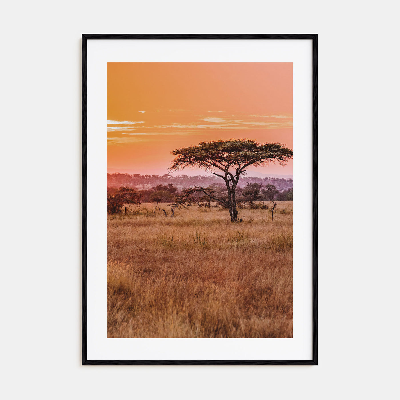 Tanzania Photo Color Poster