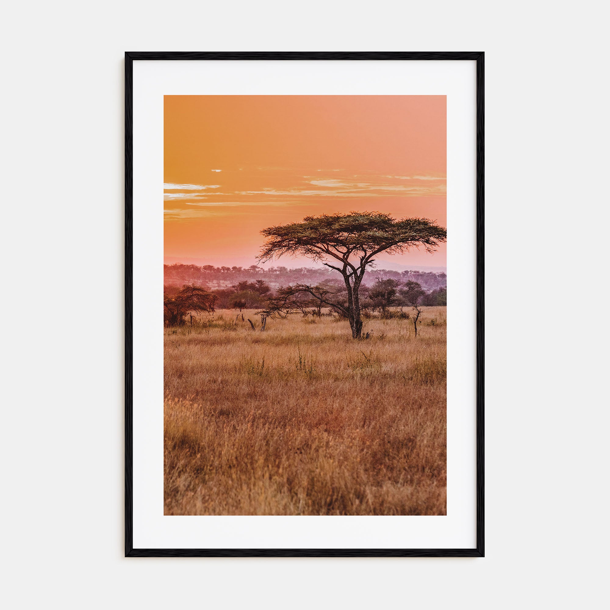 Tanzania Photo Color Poster