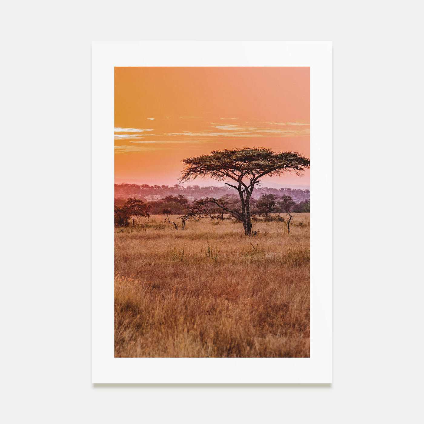 Tanzania Photo Color Poster