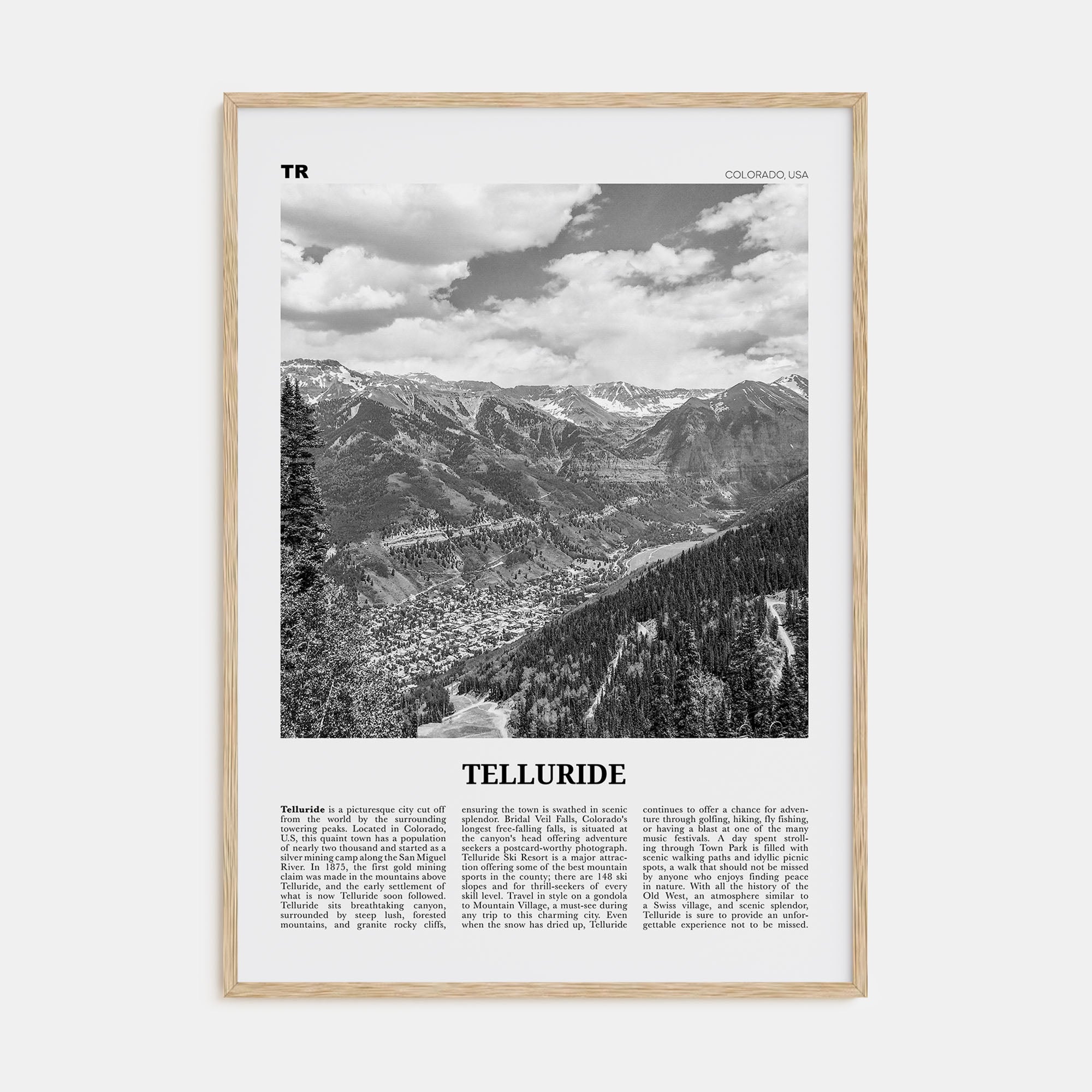 Telluride Travel B&W No 1 Poster