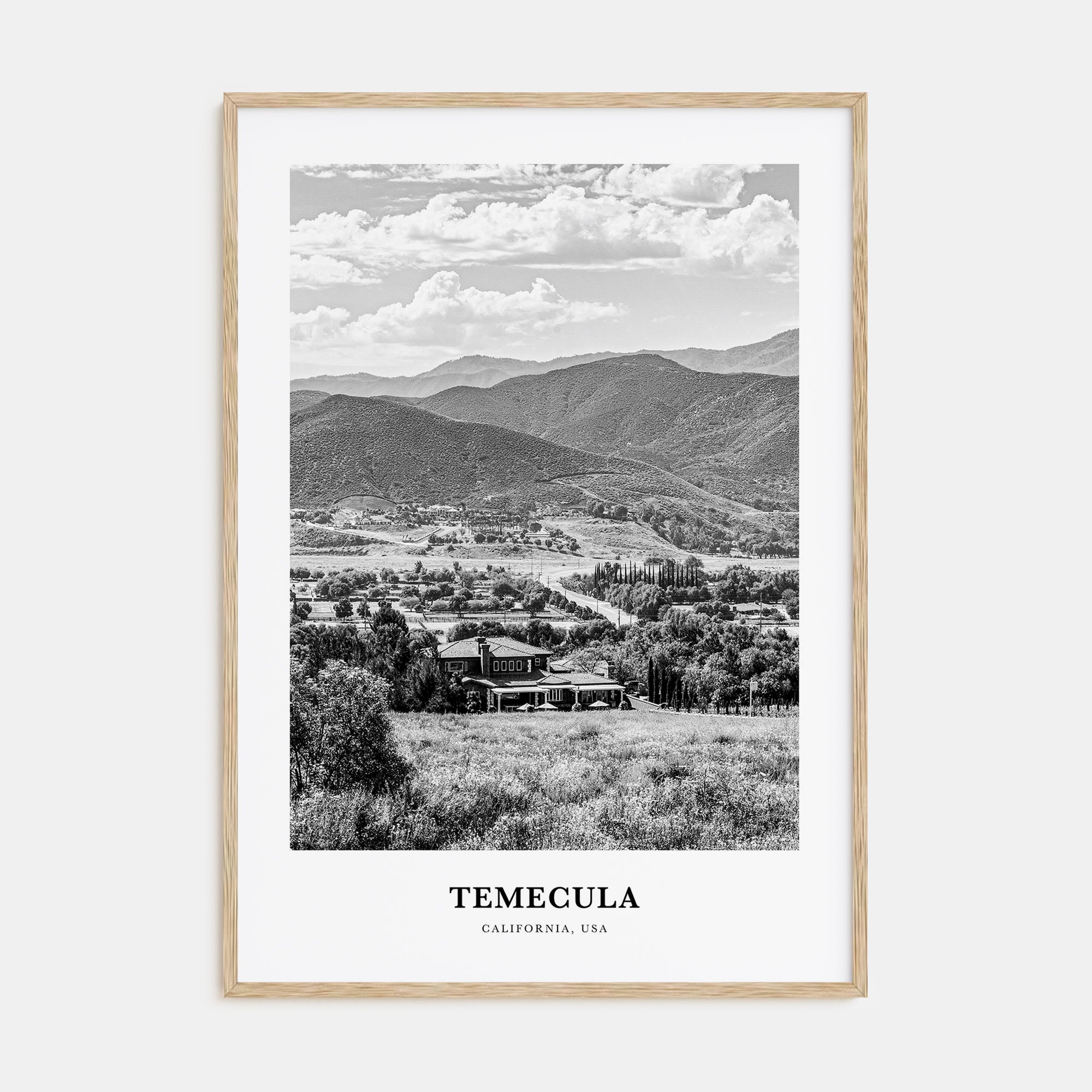 Temecula Portrait B&W Poster