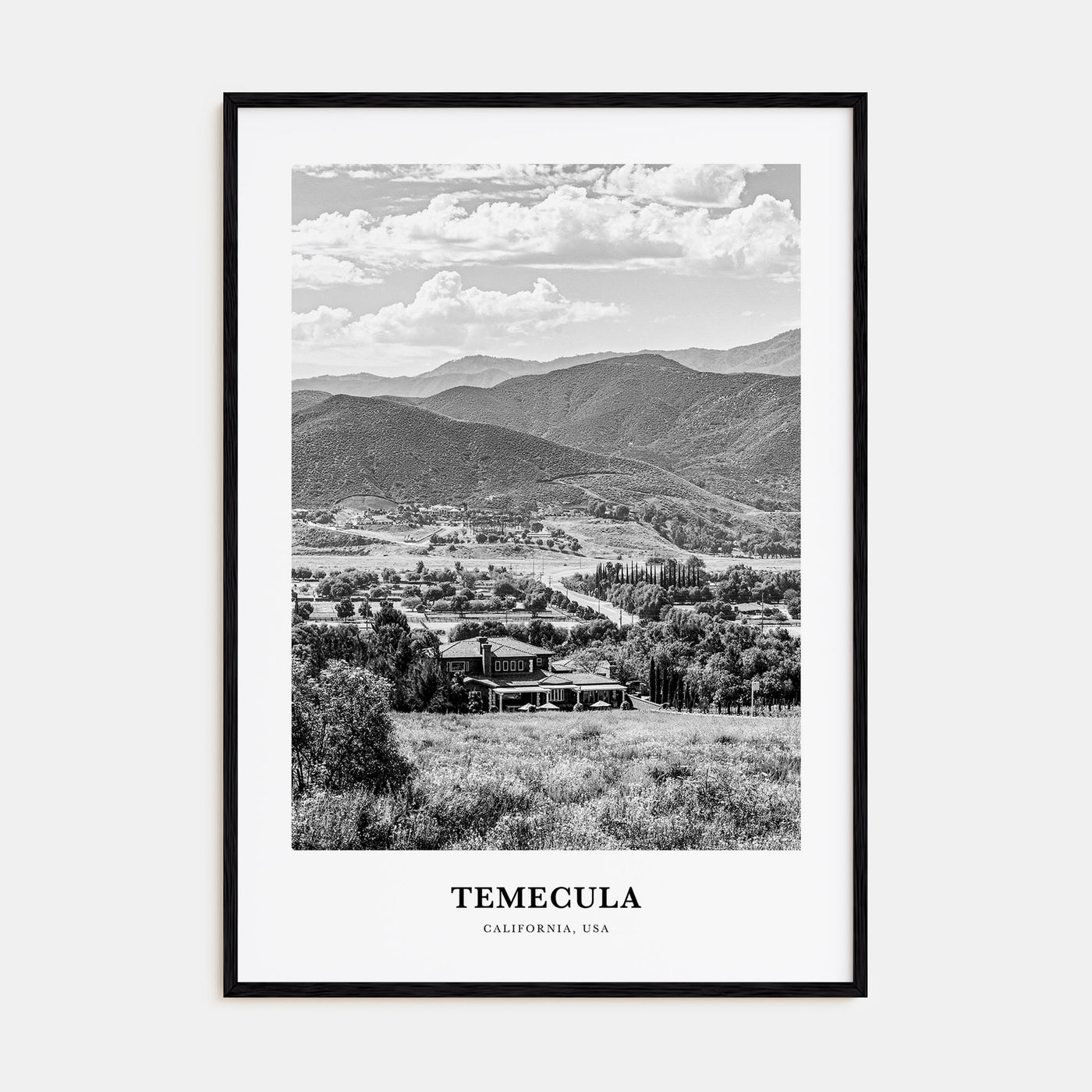 Temecula Portrait B&W Poster