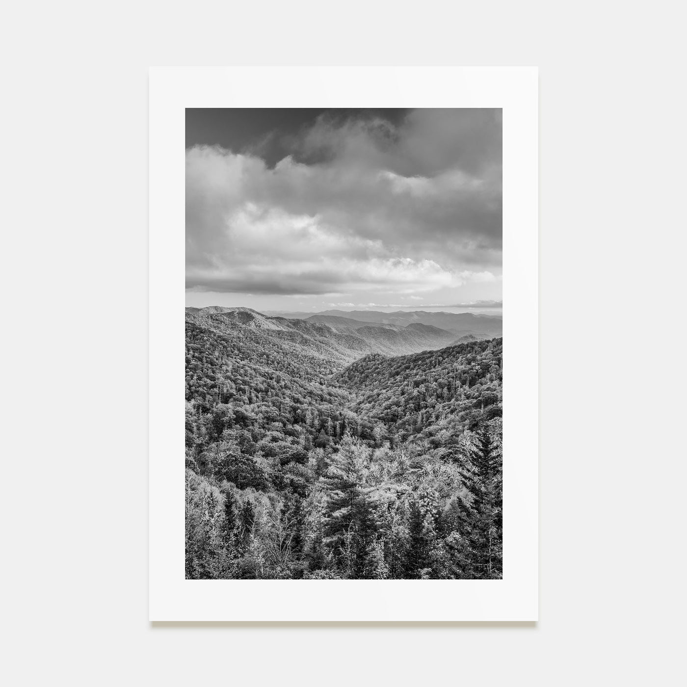 Tennessee Photo B&W No 1 Poster