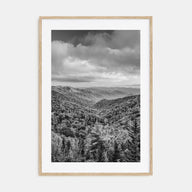 Tennessee Photo B&W No 1 Poster