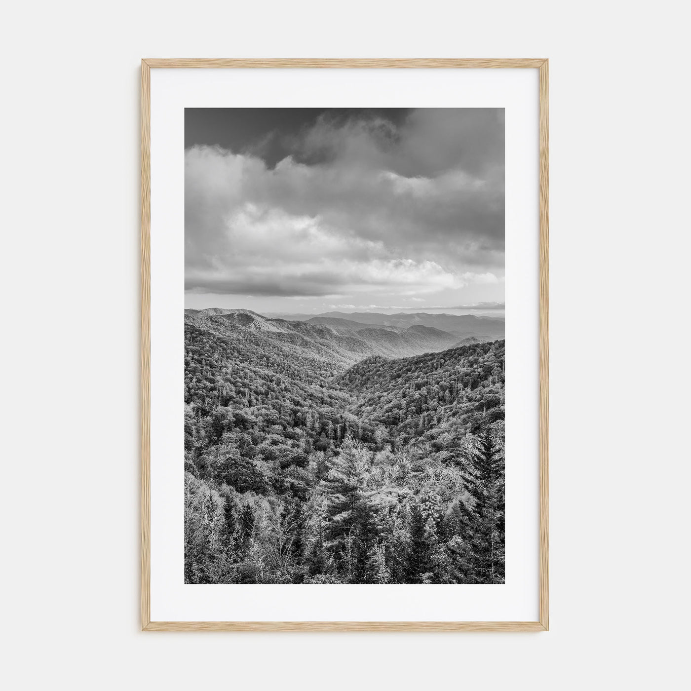 Tennessee Photo B&W No 1 Poster