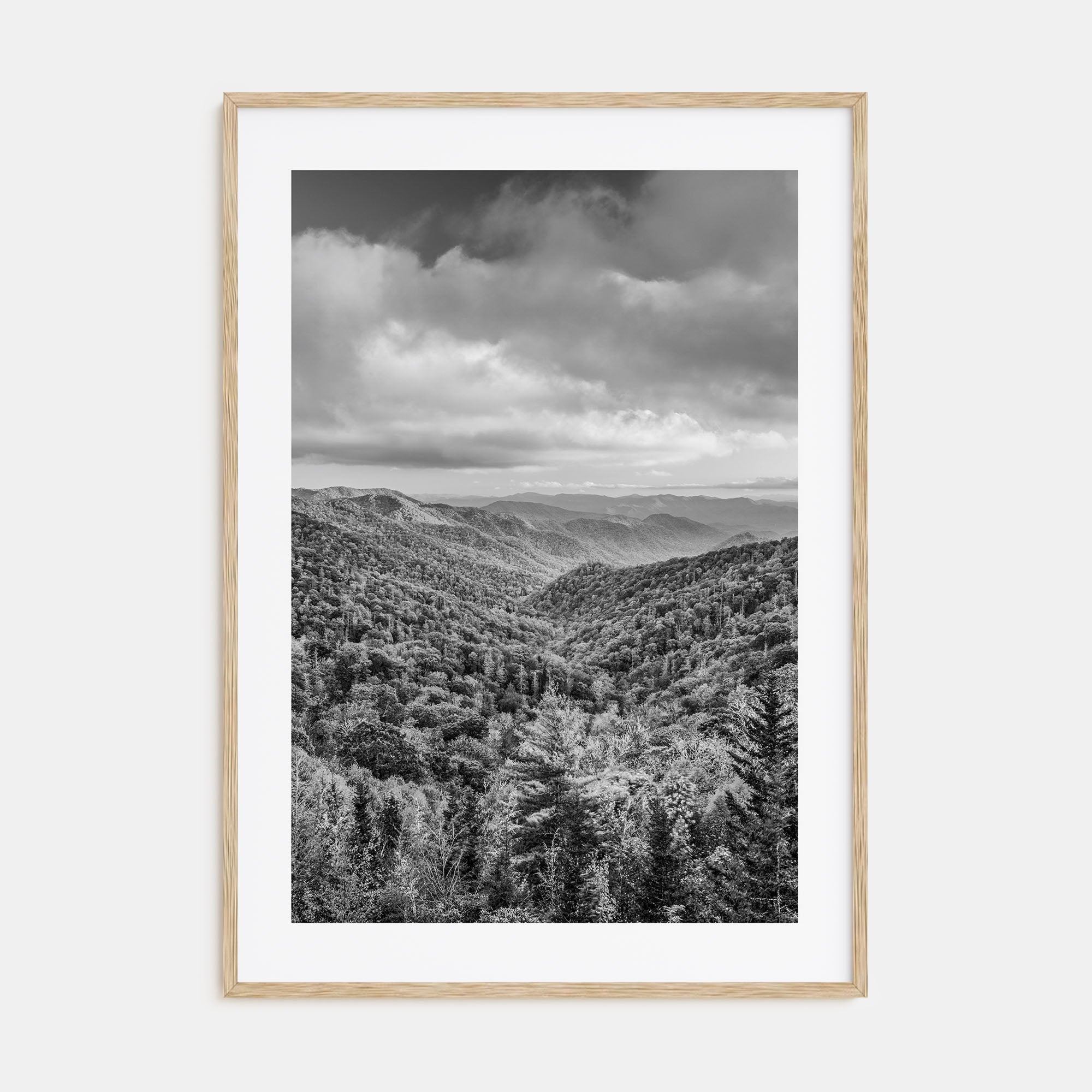 Tennessee Photo B&W No 1 Poster