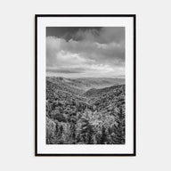 Tennessee Photo B&W No 1 Poster