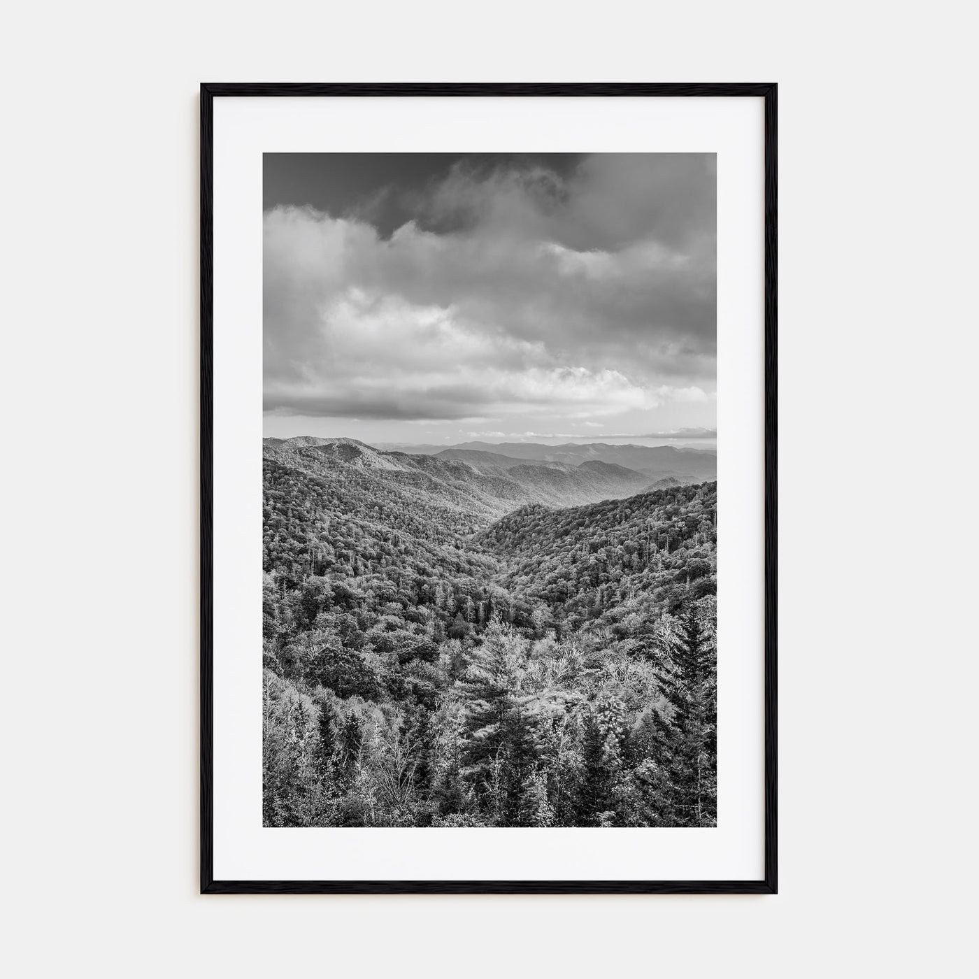 Tennessee Photo B&W No 1 Poster