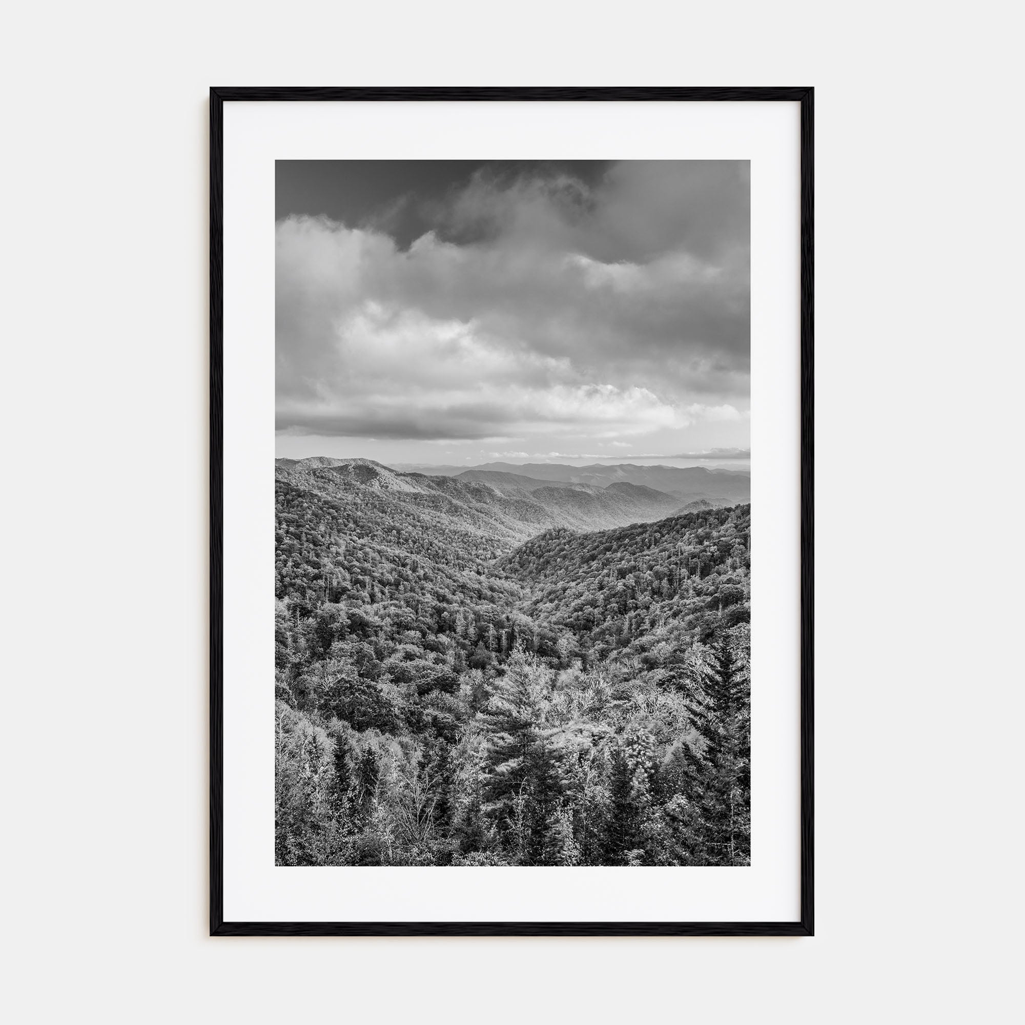 Tennessee Photo B&W No 1 Poster