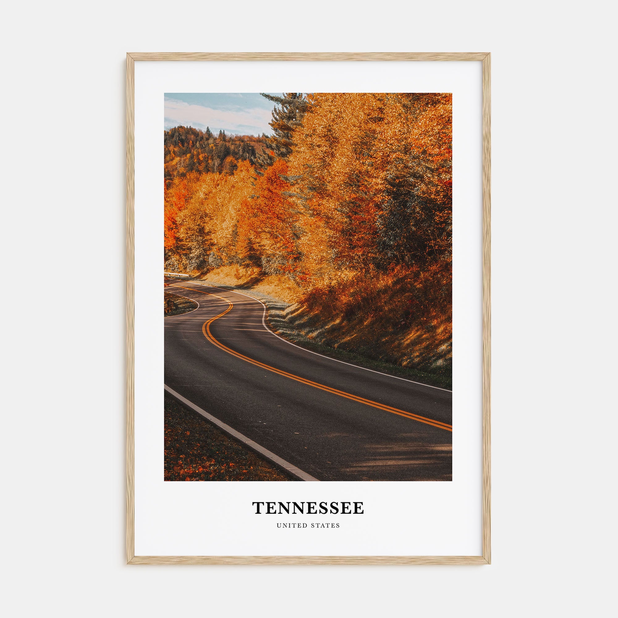 Tennessee Portrait Color No 2 Poster