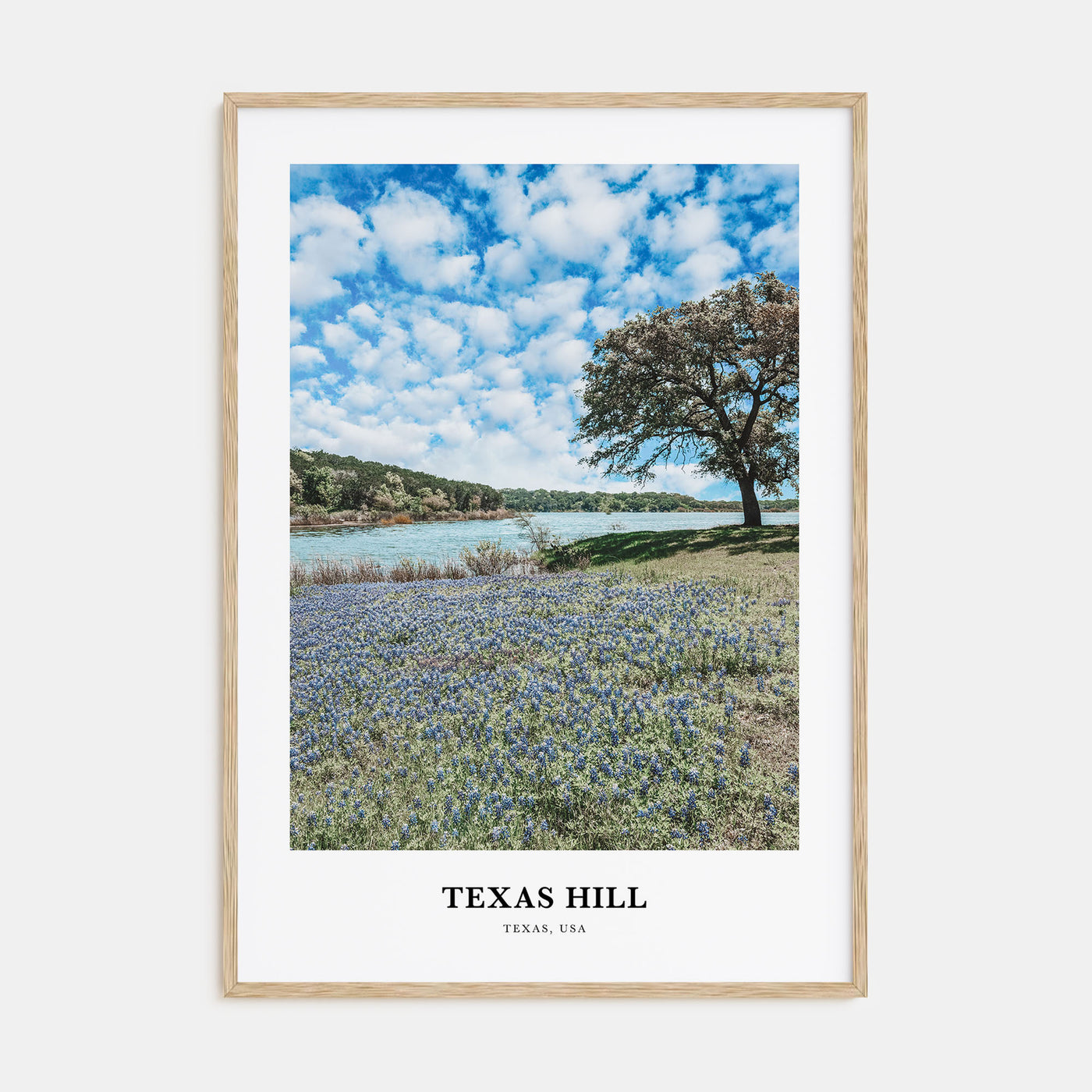 Texas Hill Portrait Color Poster