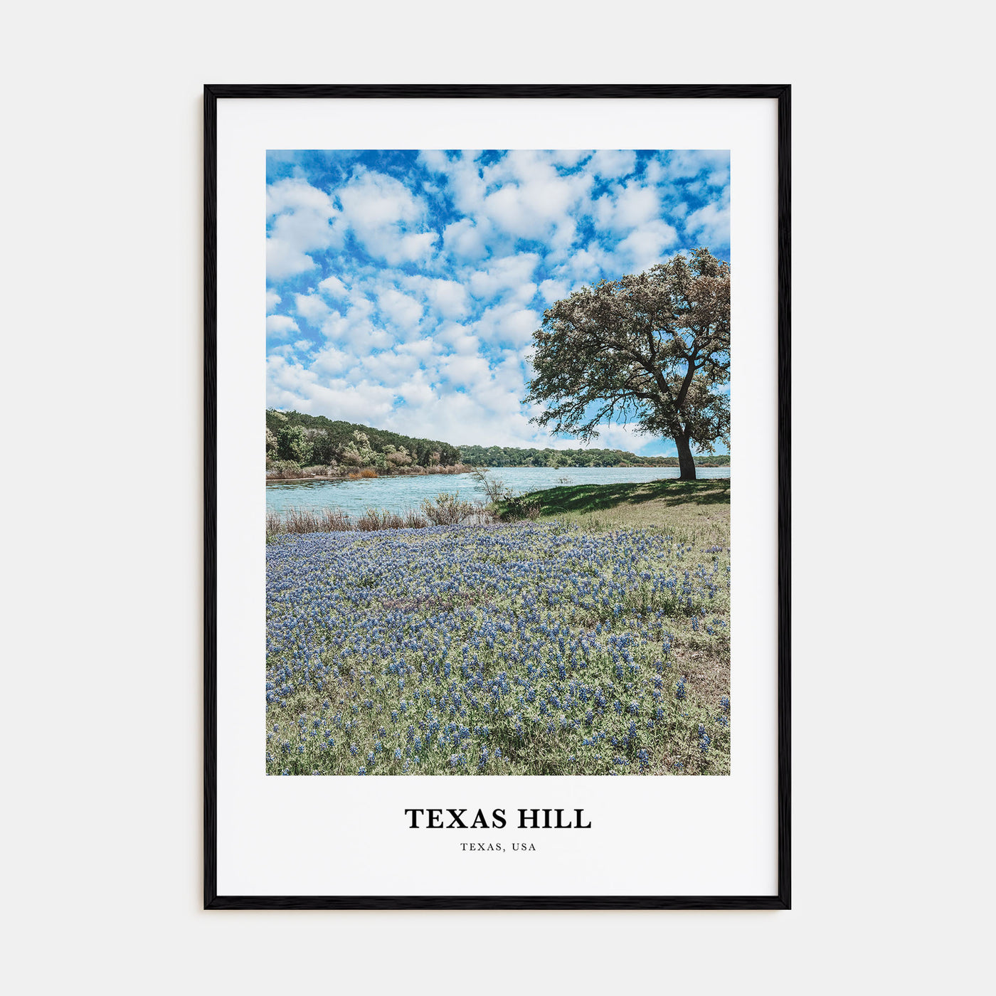 Texas Hill Portrait Color Poster